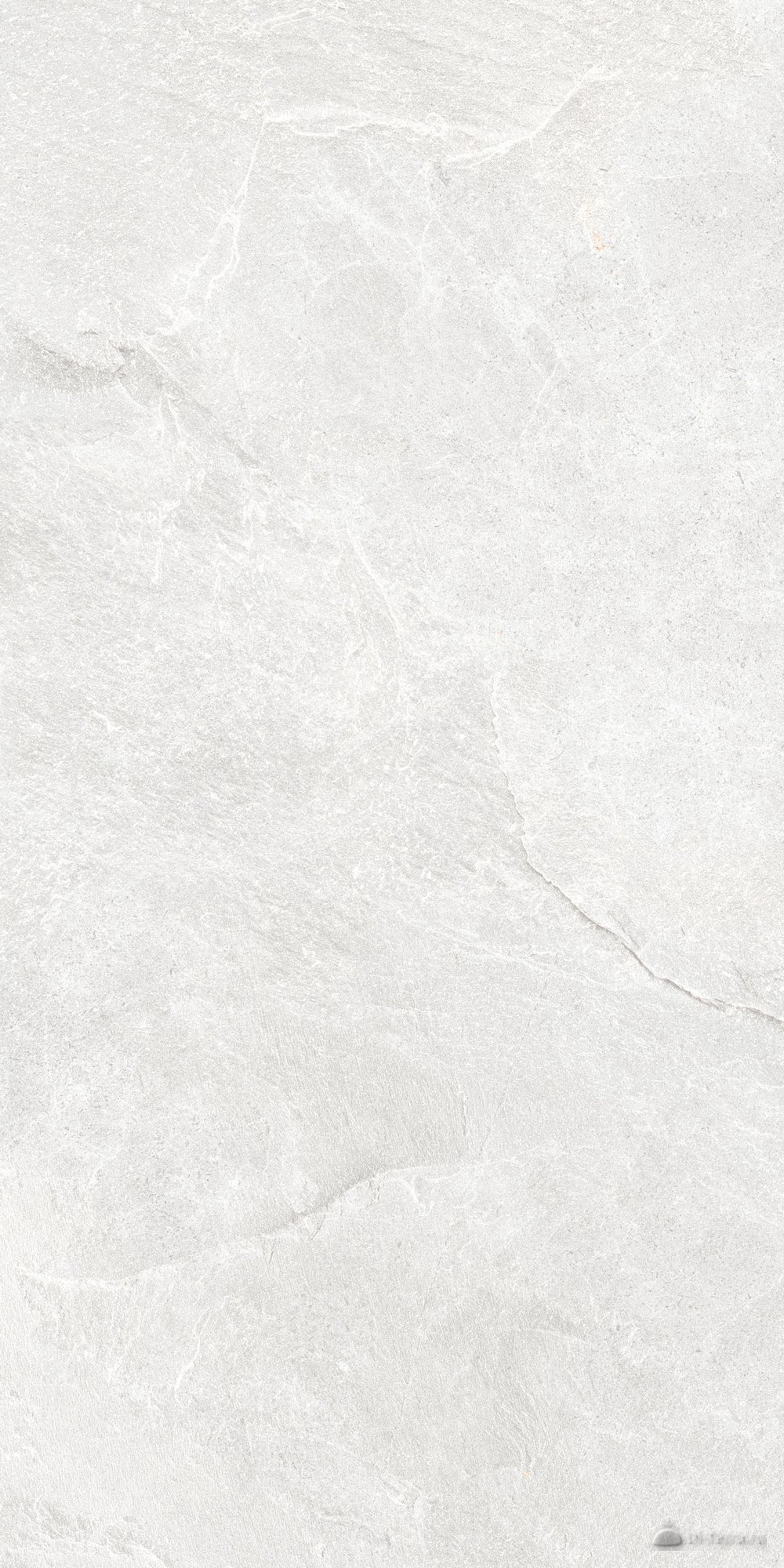 Skala Light Grey 60×120