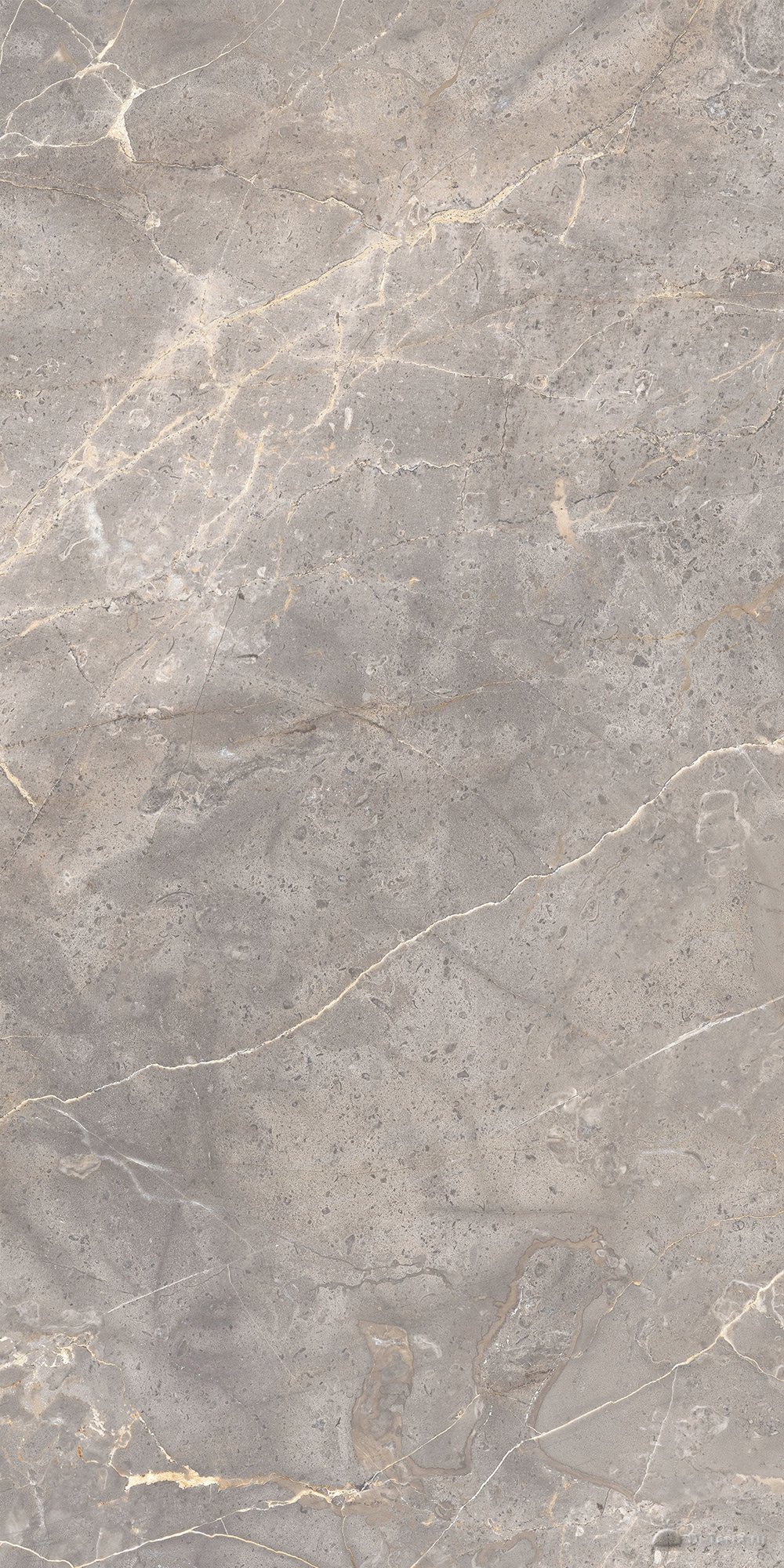 Sacramento_GT Grey 60×120