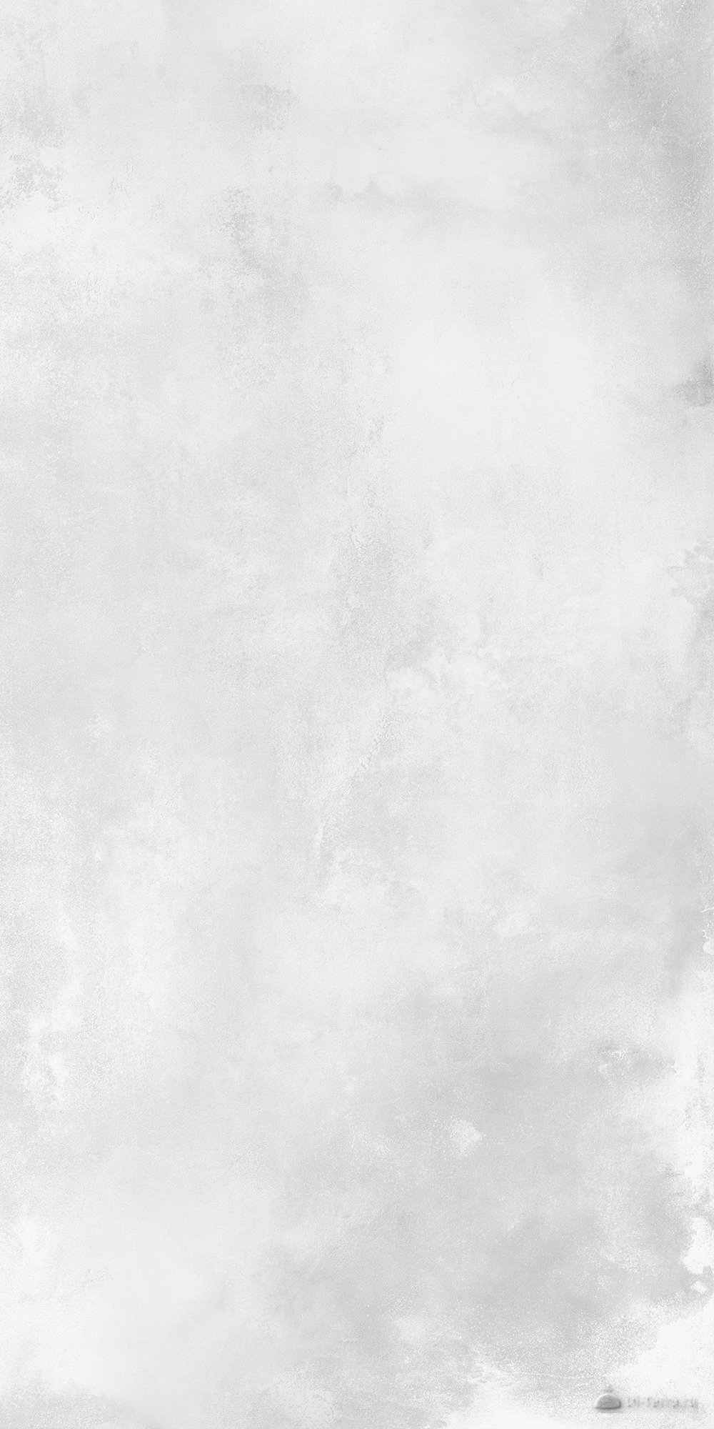 Vibe Light Grey 60×120