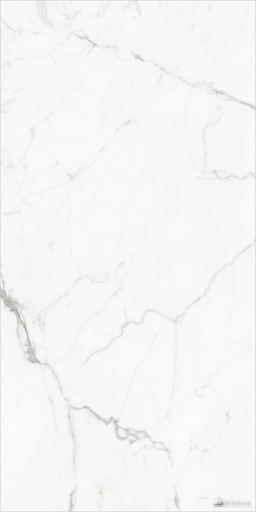 Elegant Statuario White 60×120 Polished