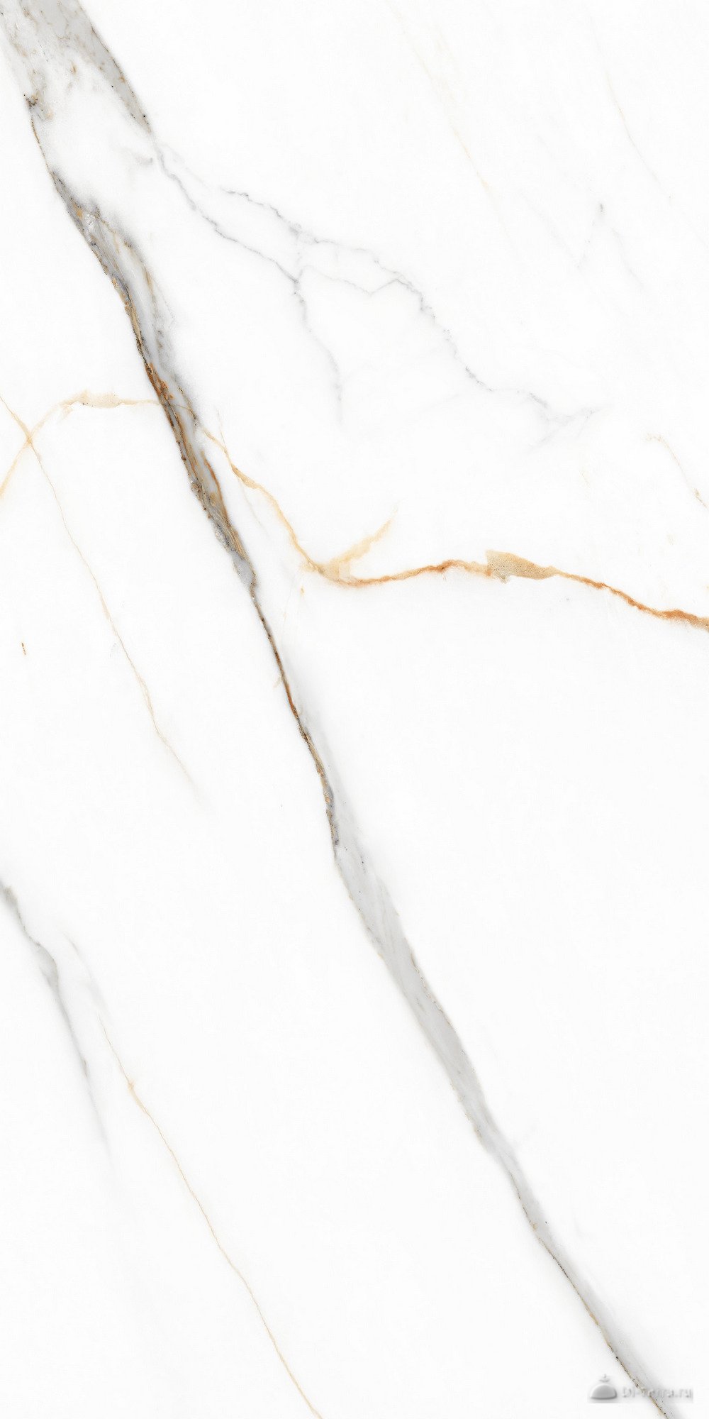 Angel Statuario 60×120 Polished