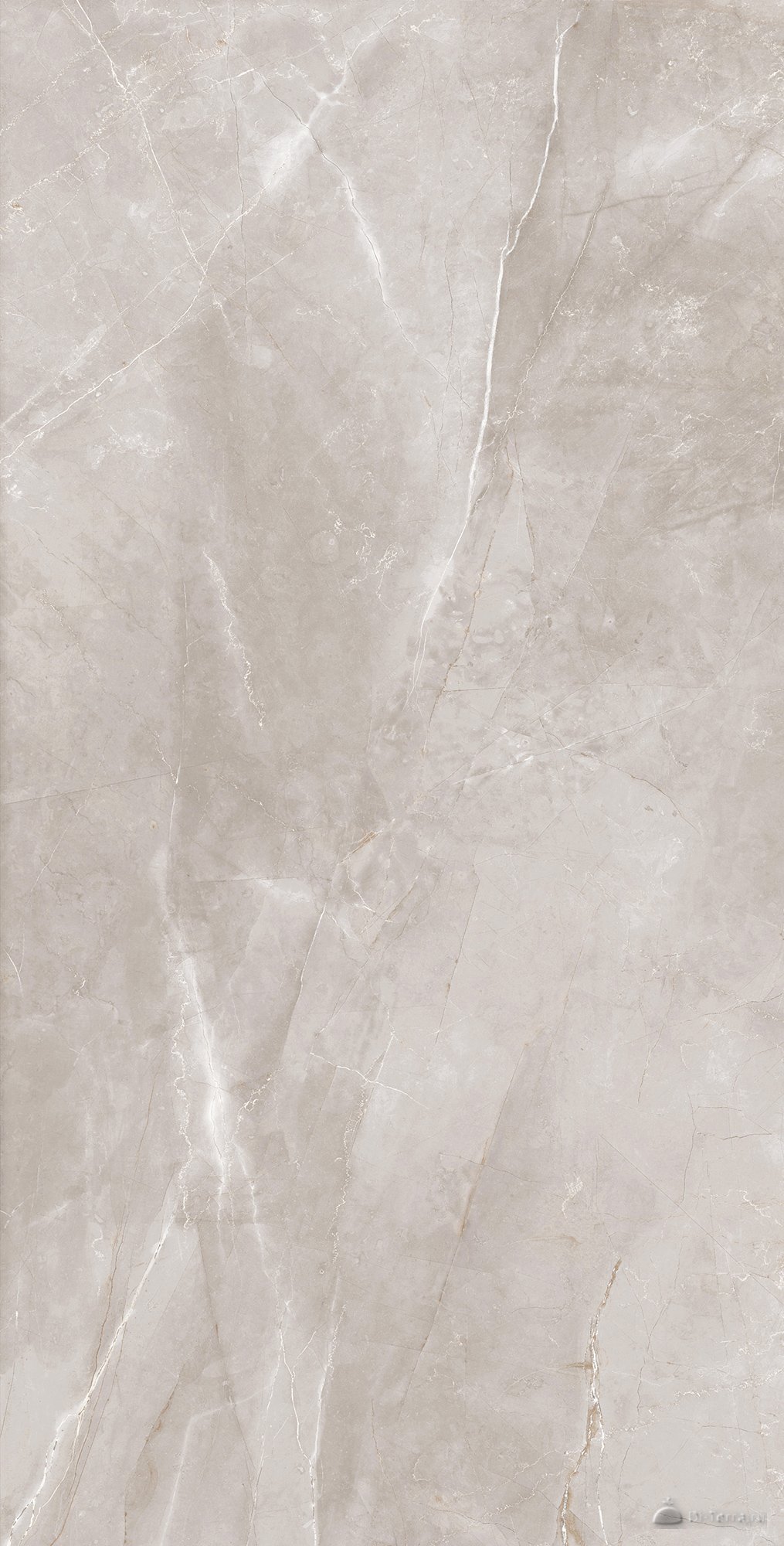 Velaska 60×120 Polished