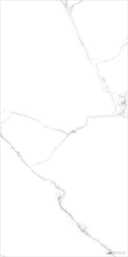 Romantic White 60×120 Polished