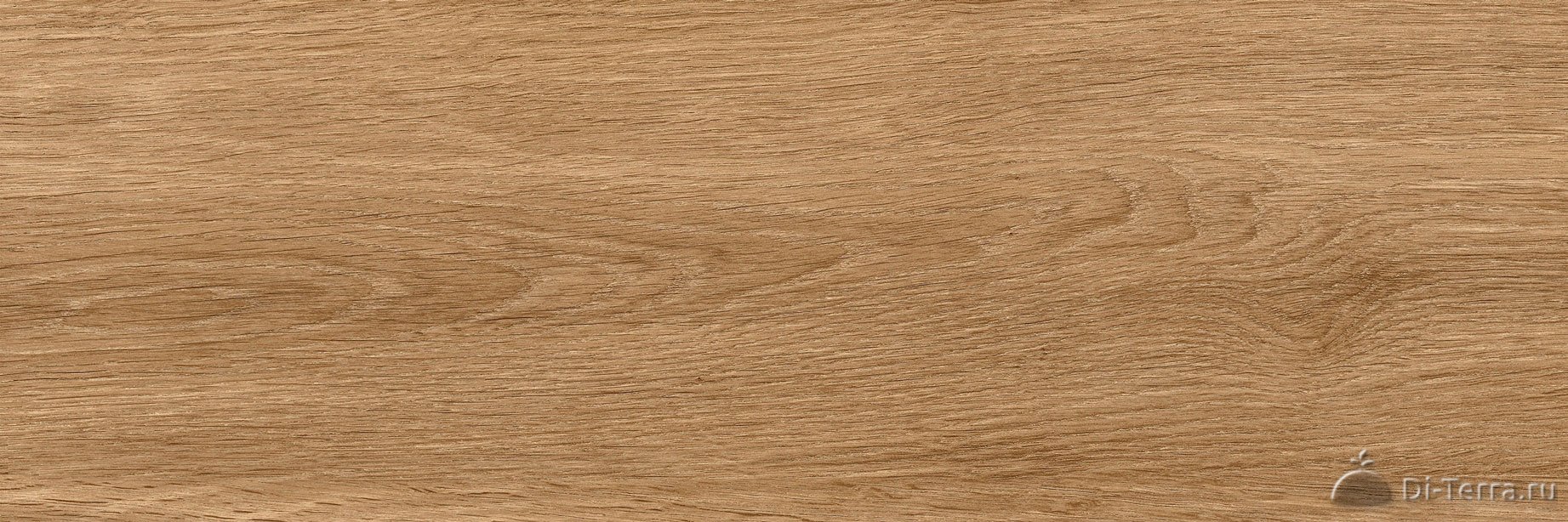 Bukhara Brown 19.7×60