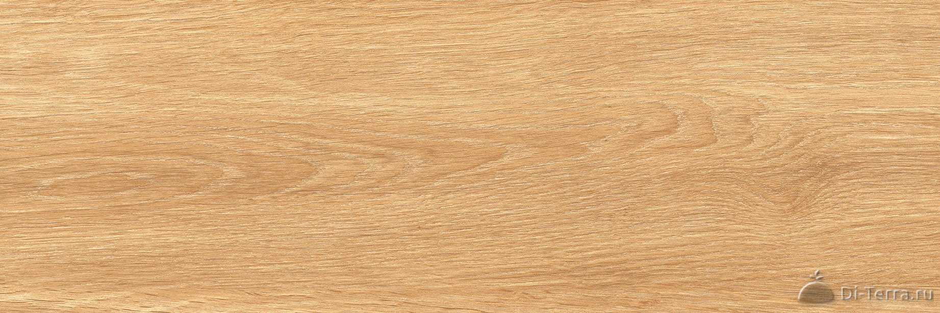 Bukhara Honey 19.7×60