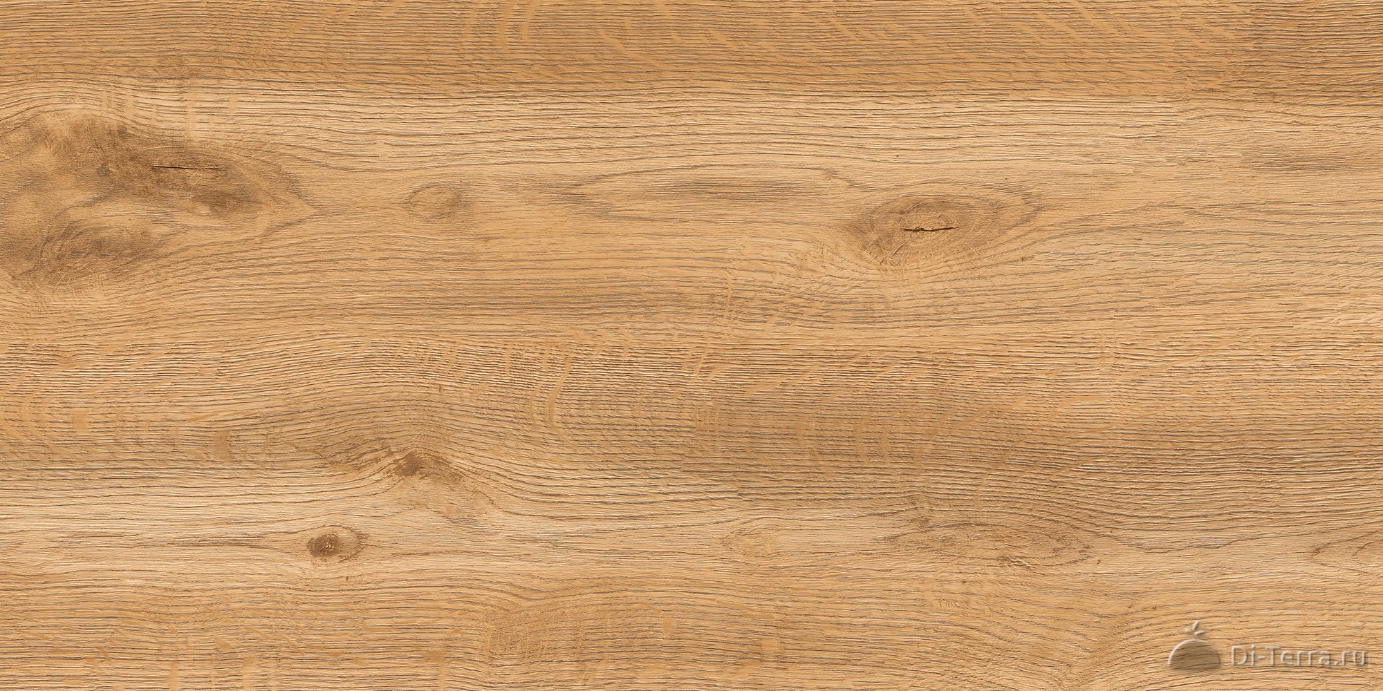 Woodstock Beige 40×80