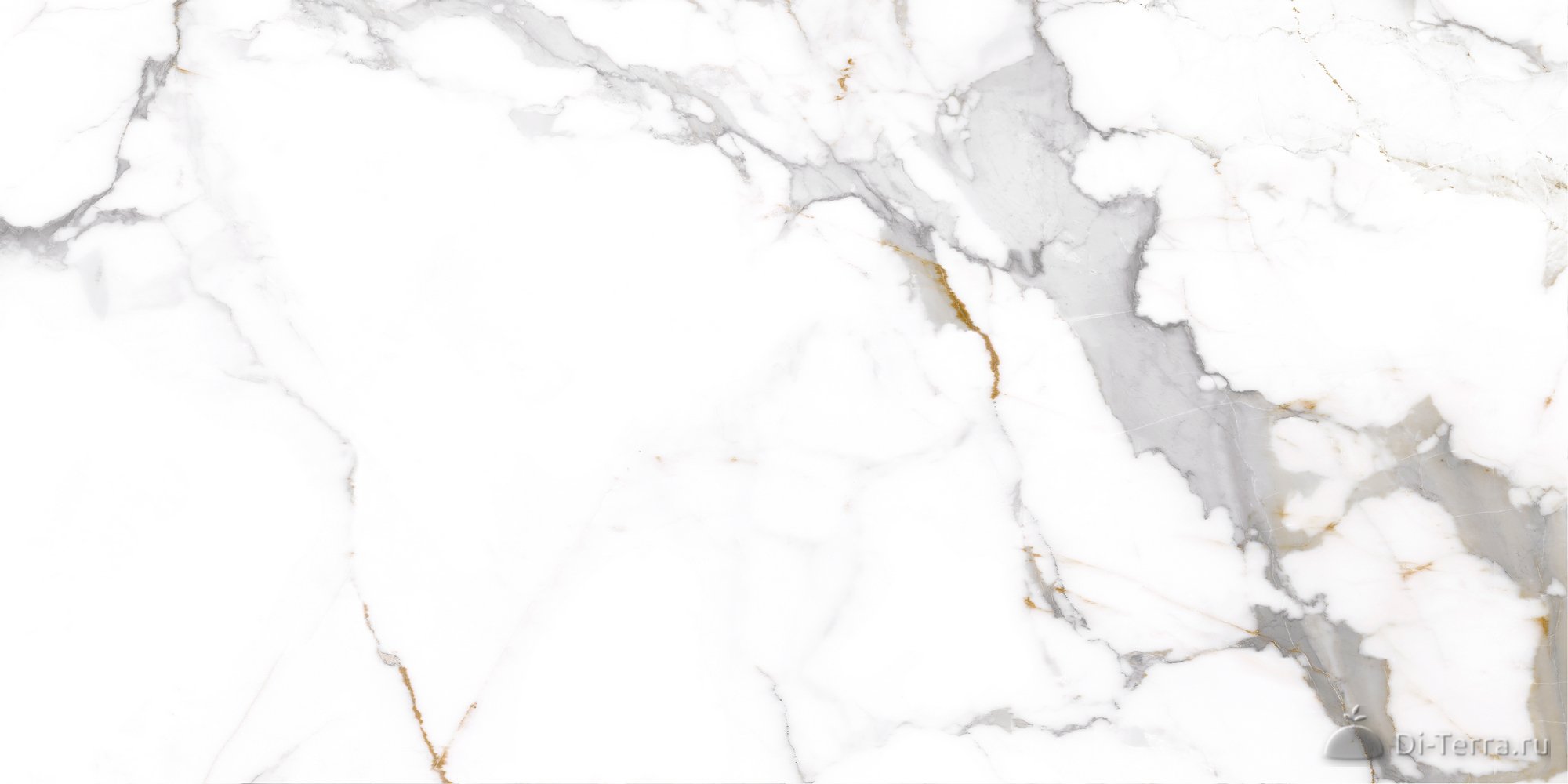Calacatta Imperial White 40×80