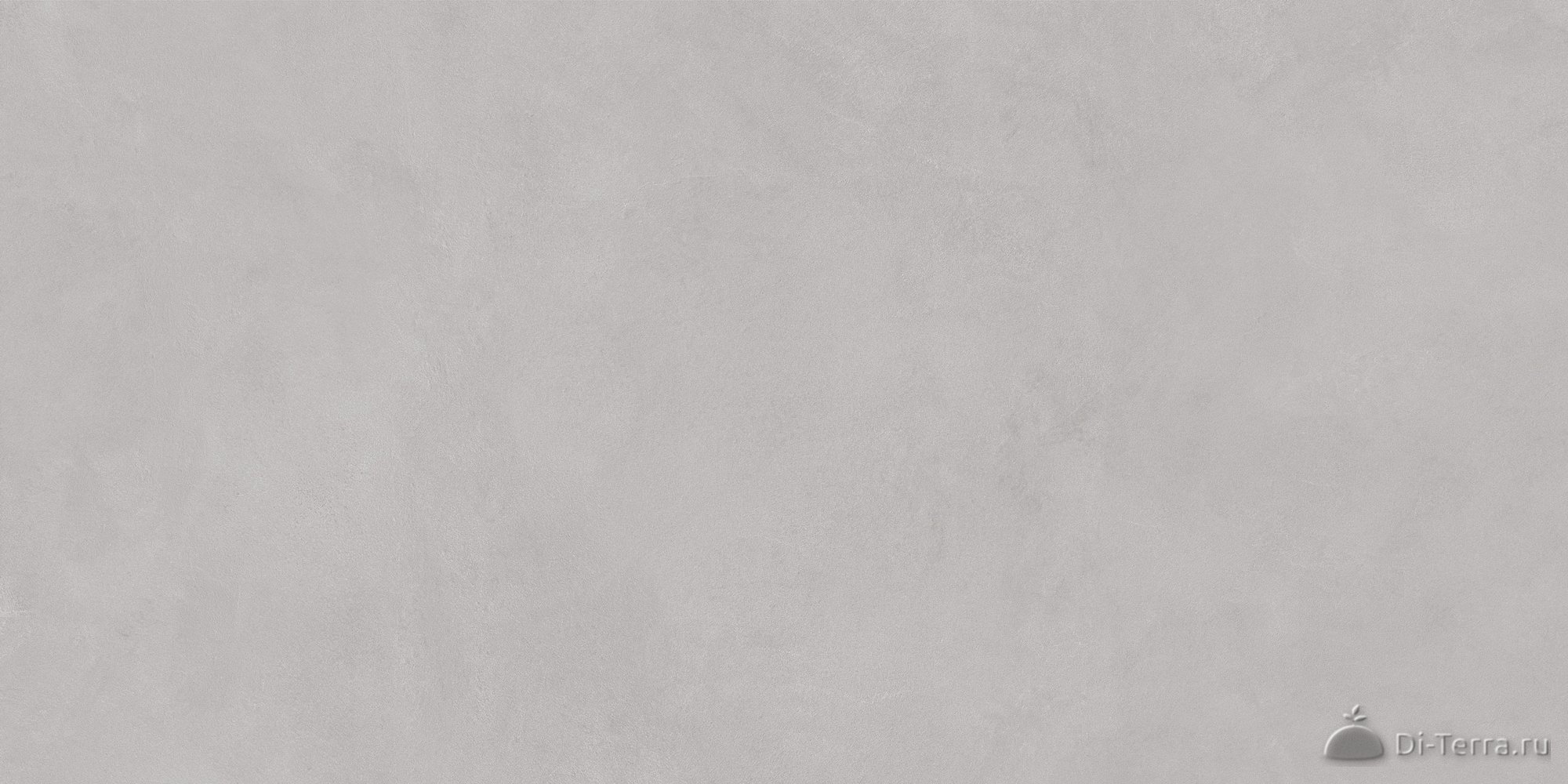 Dream Grey 50×100