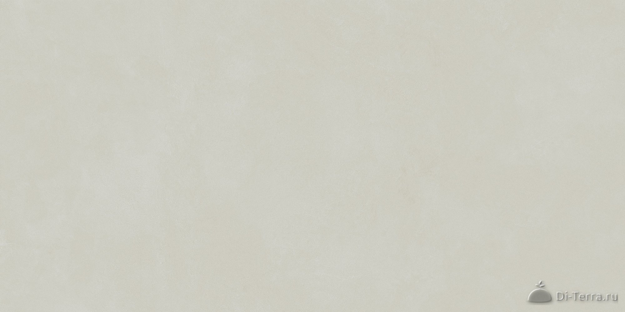 Dream Olive 50×100