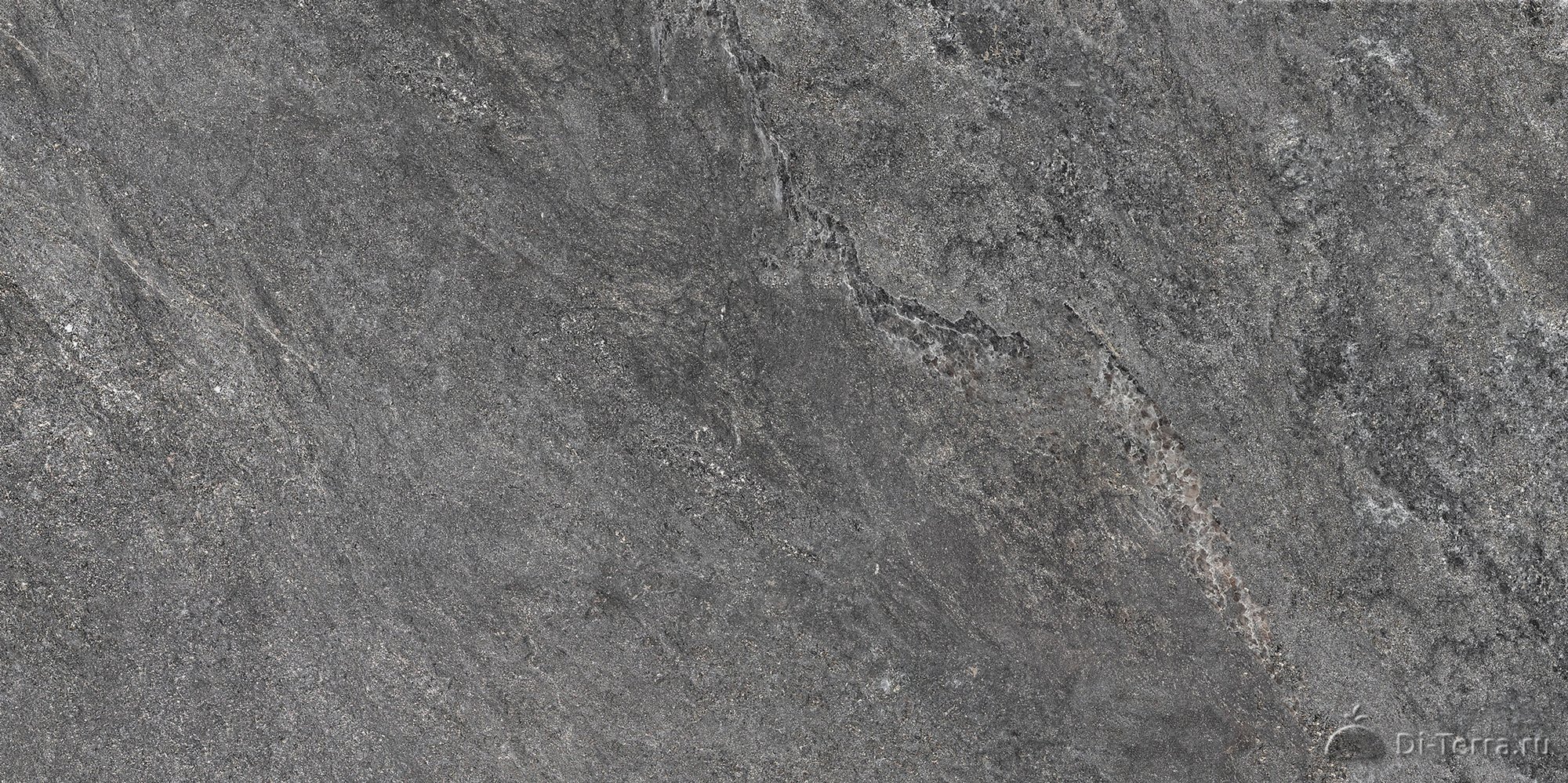 Vitality Dark Grey 50×100
