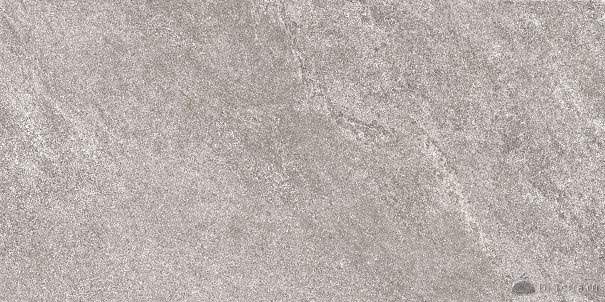 Vitality Grey-Beige 50×100