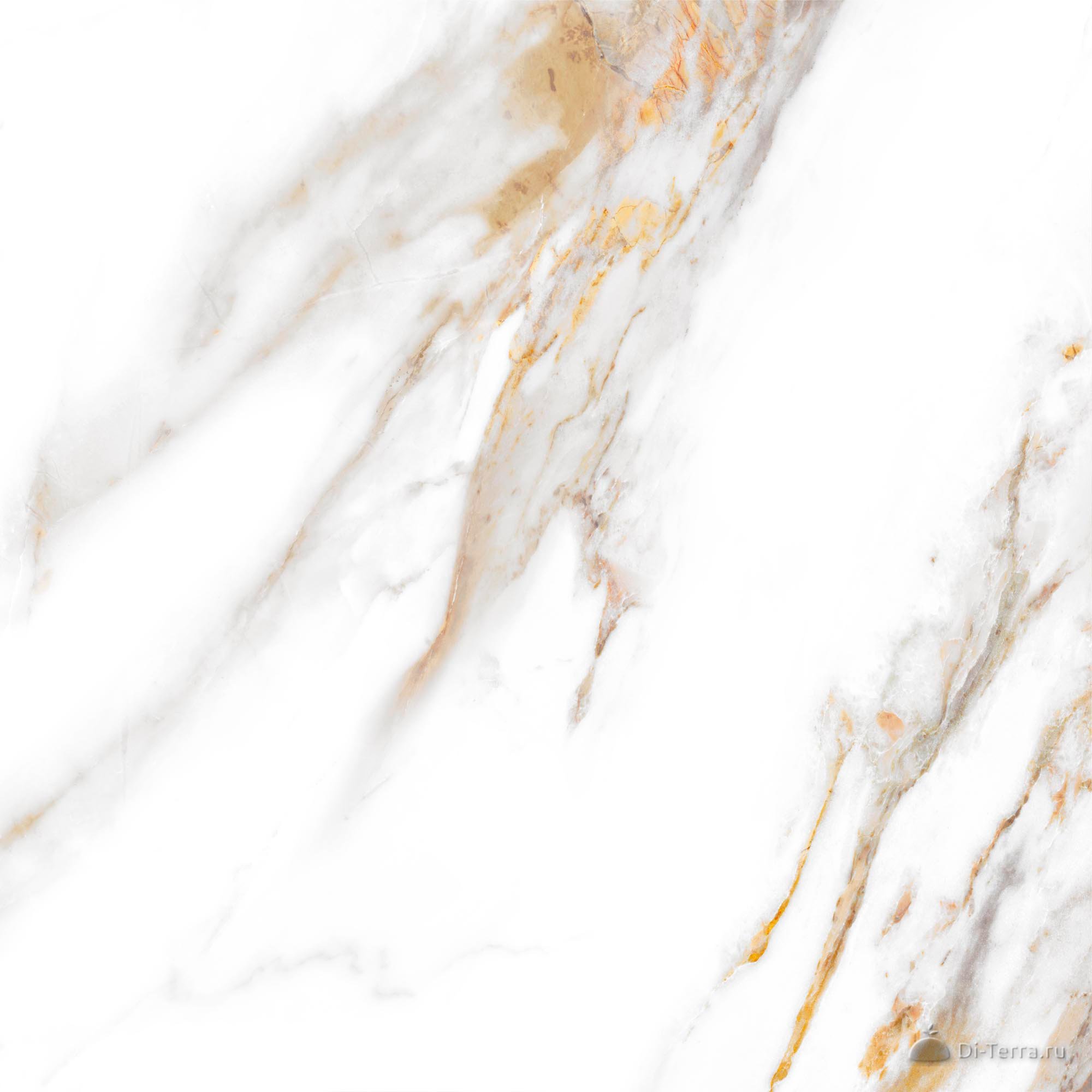 Calacatta Royal White 60×60