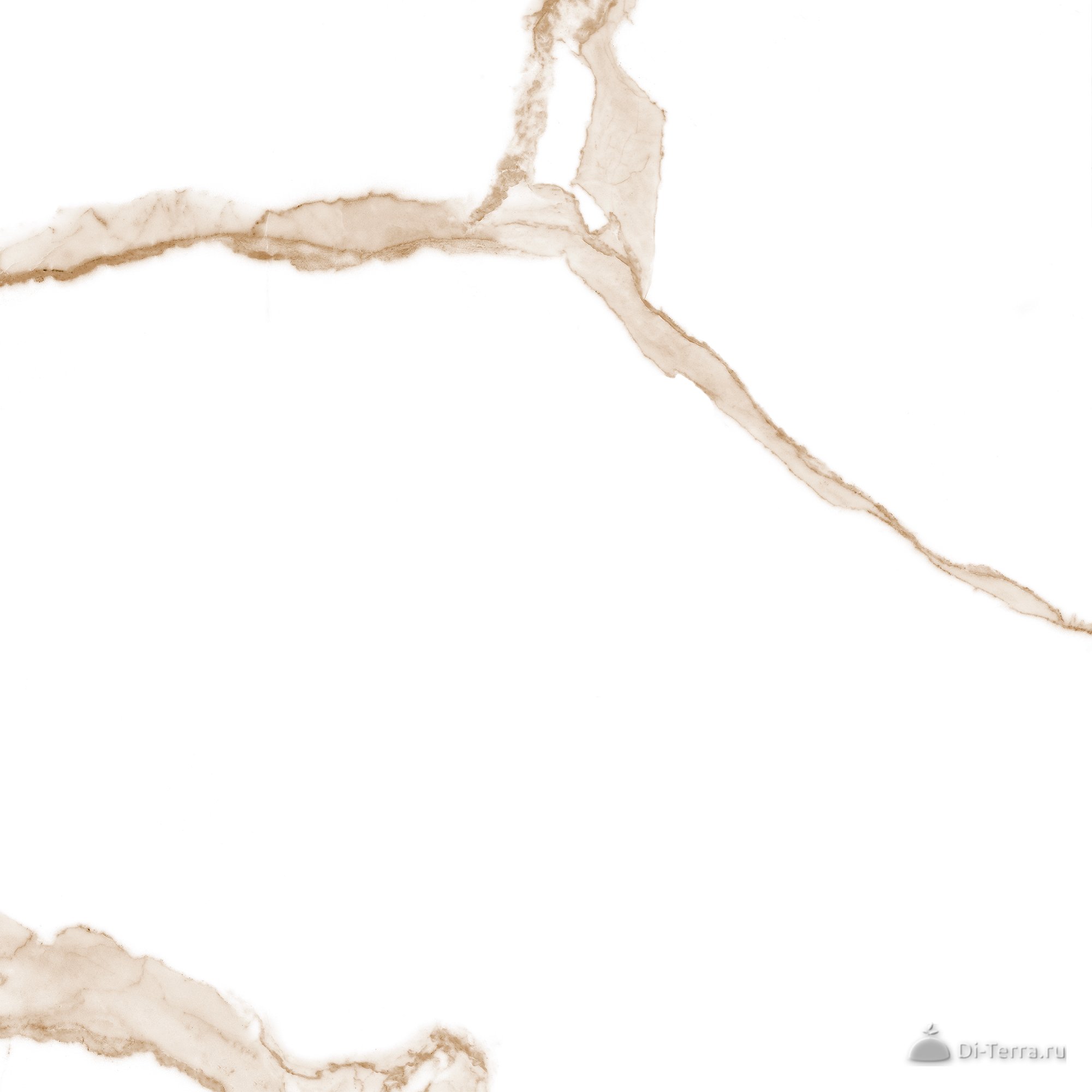Majestic White 60×60