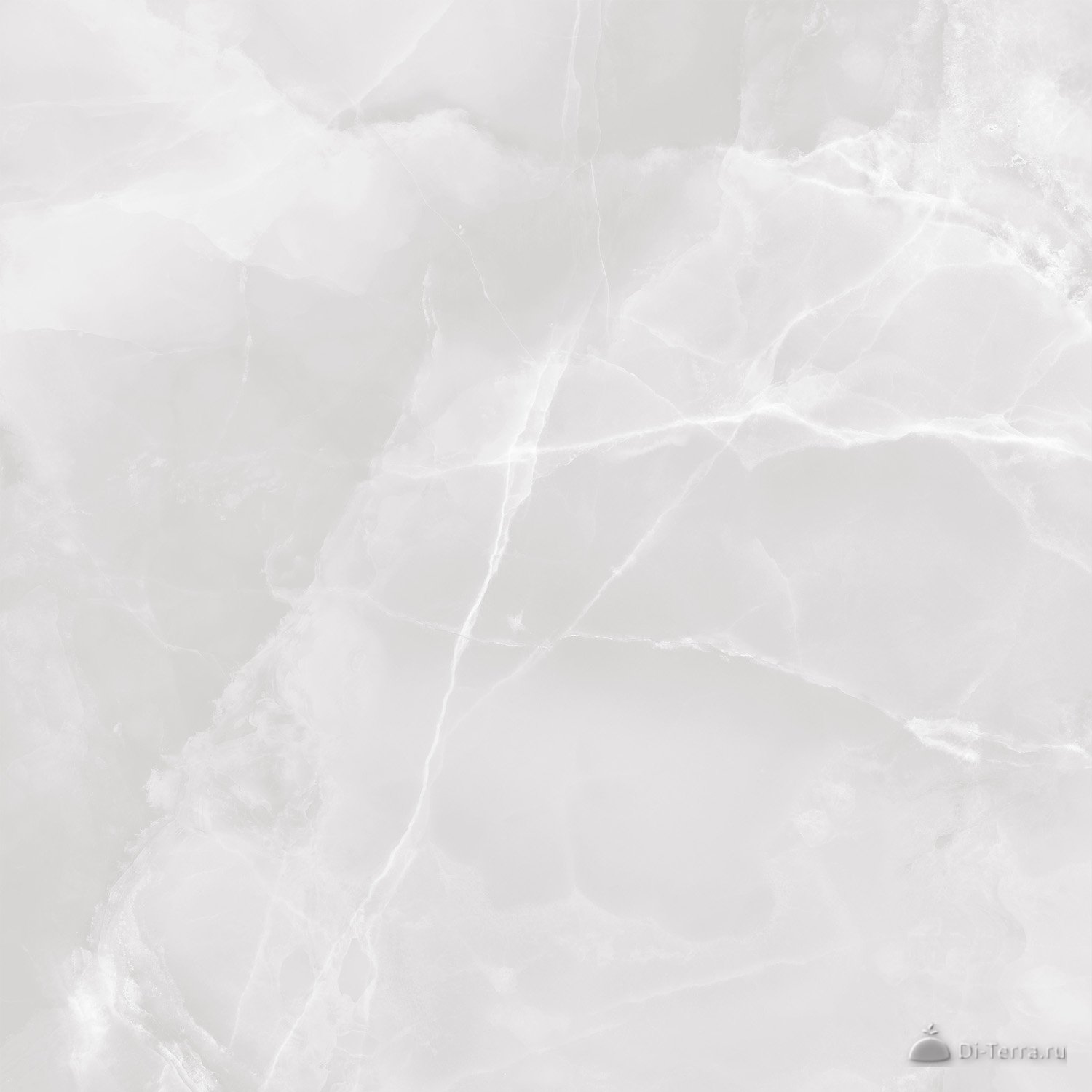Favorito White 60×60 Polished