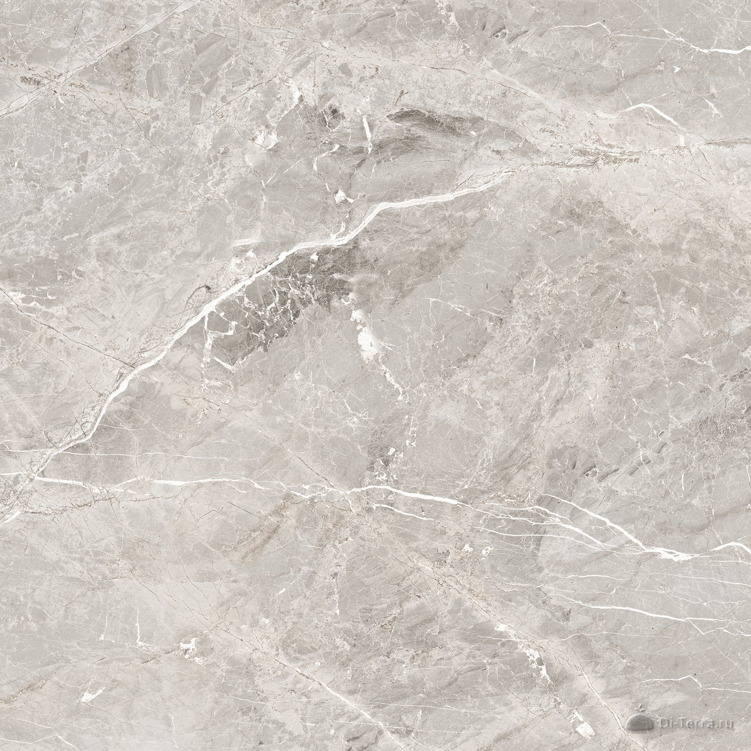 Tulip Grey 60×60