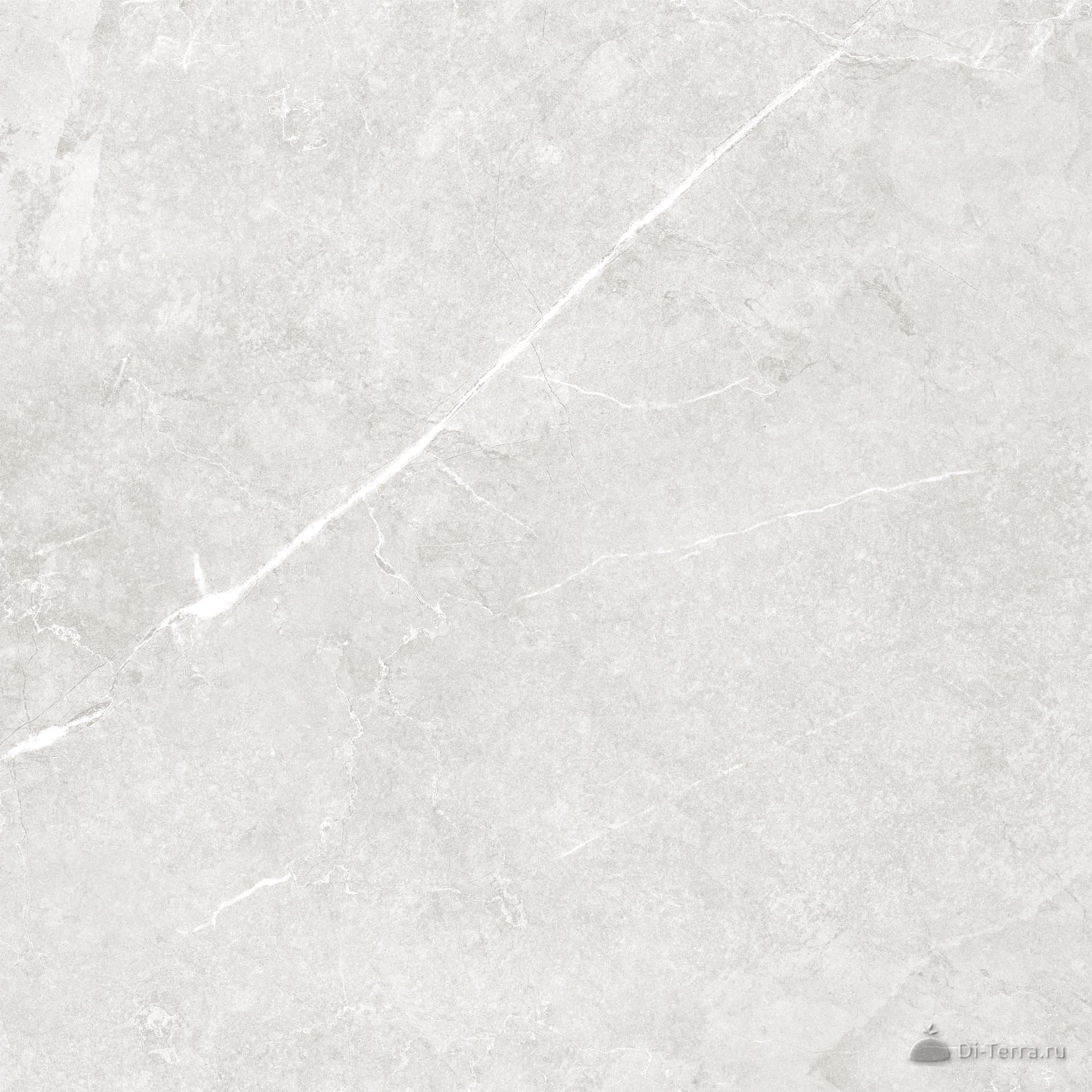 Bliss_GT Grey 60×60