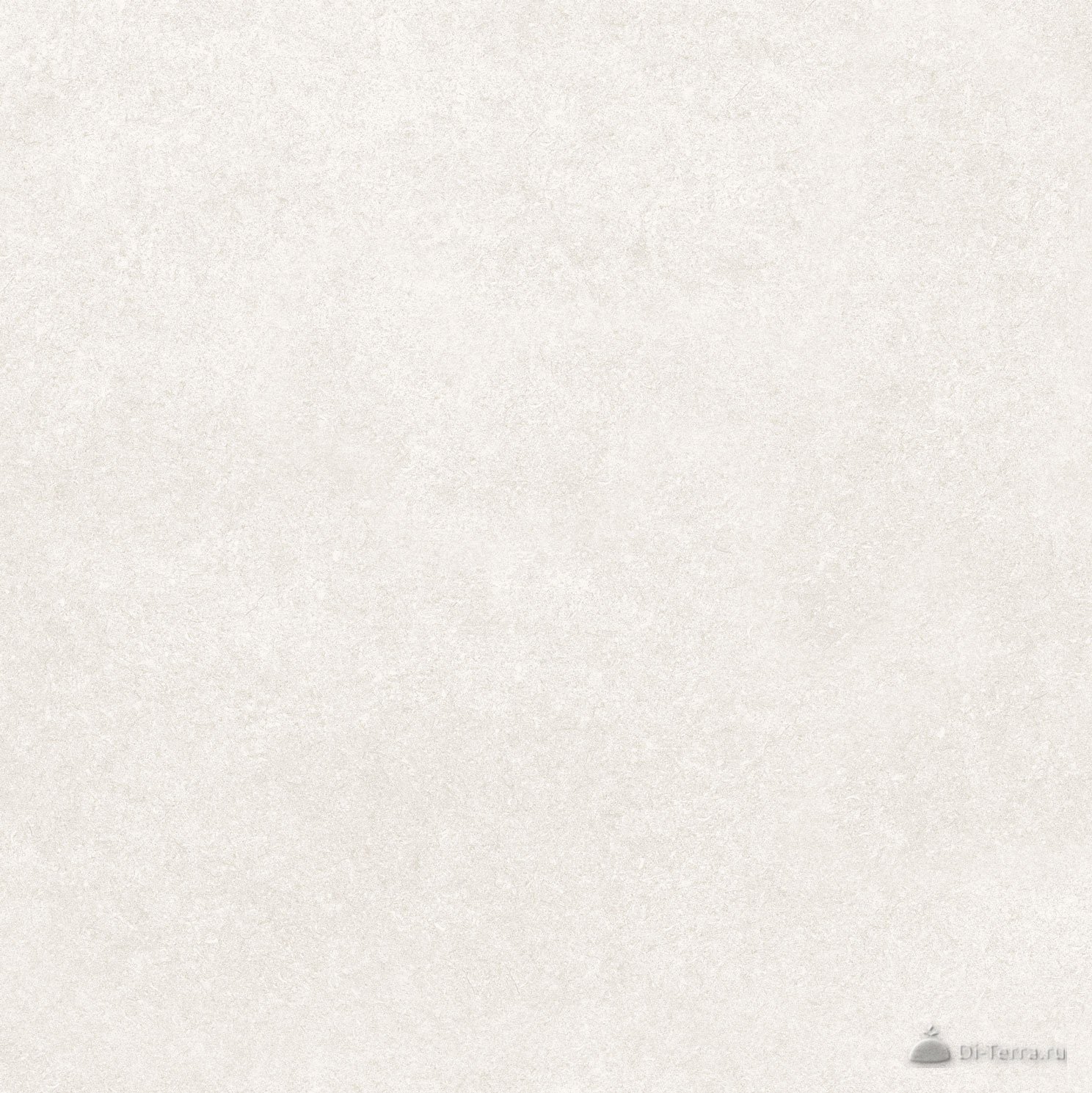 Harmony White 60×60