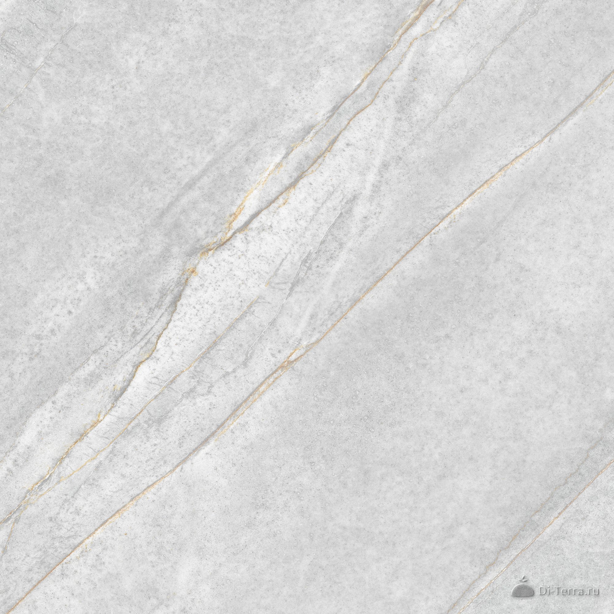 Donna_GT Grey 60×60