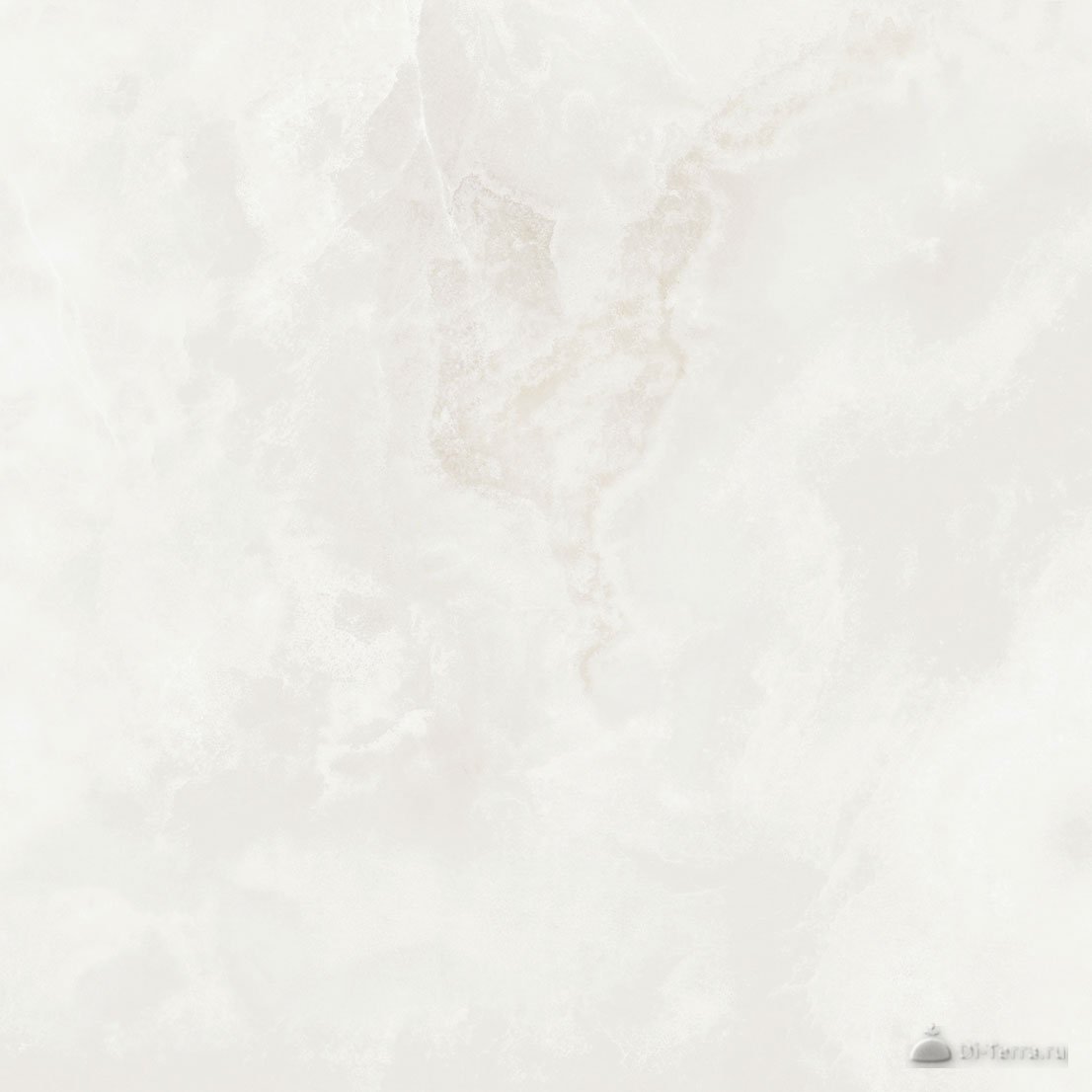 Biscotti Grey-Beige 60×60