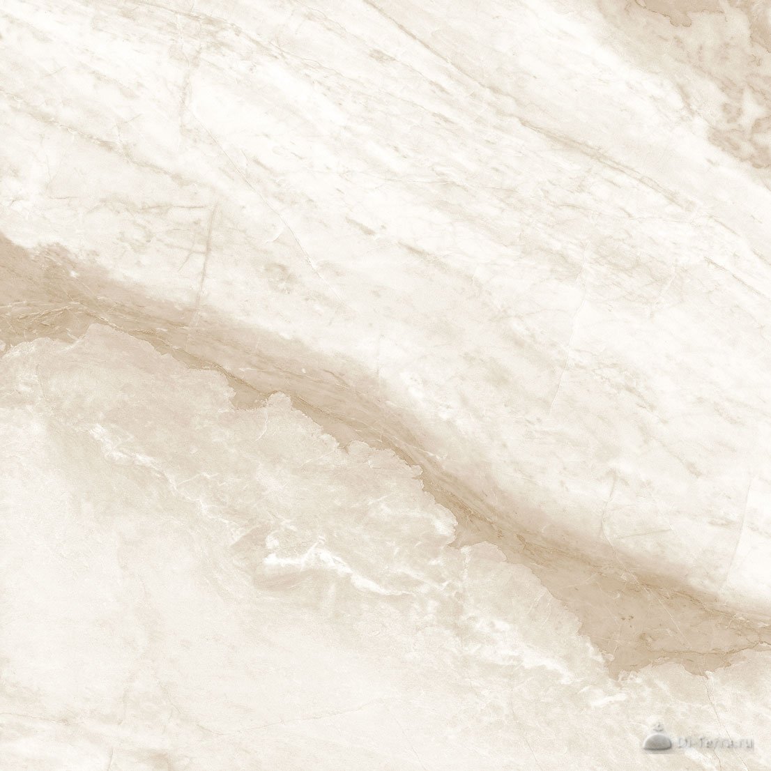 Charisma Beige 60×60