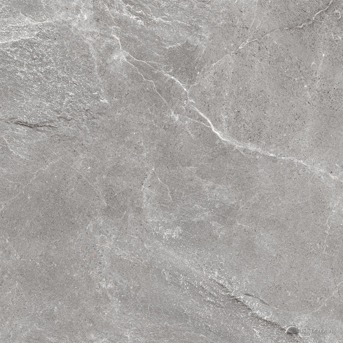 Skala Grey 60×60