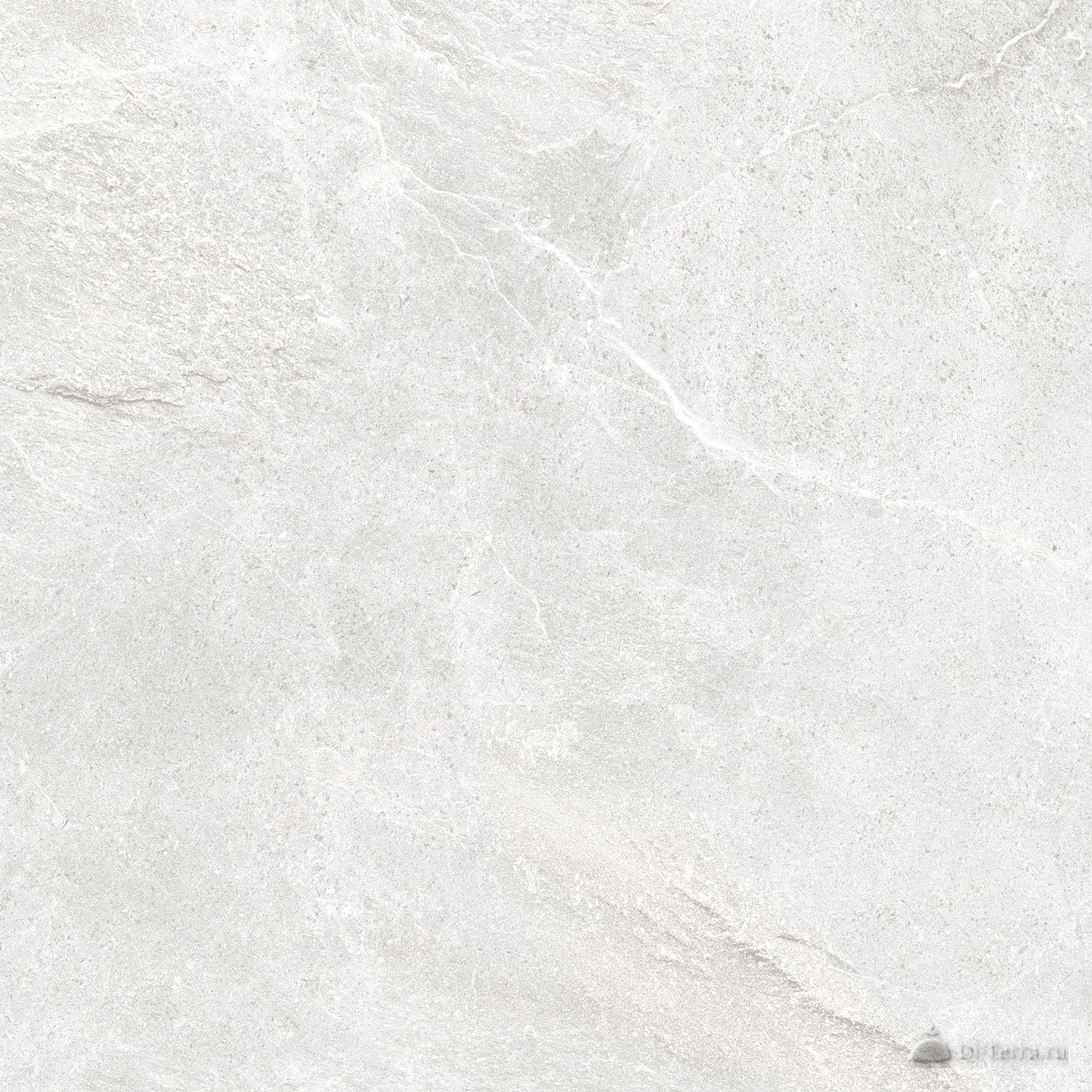 Skala Light Grey 60×60