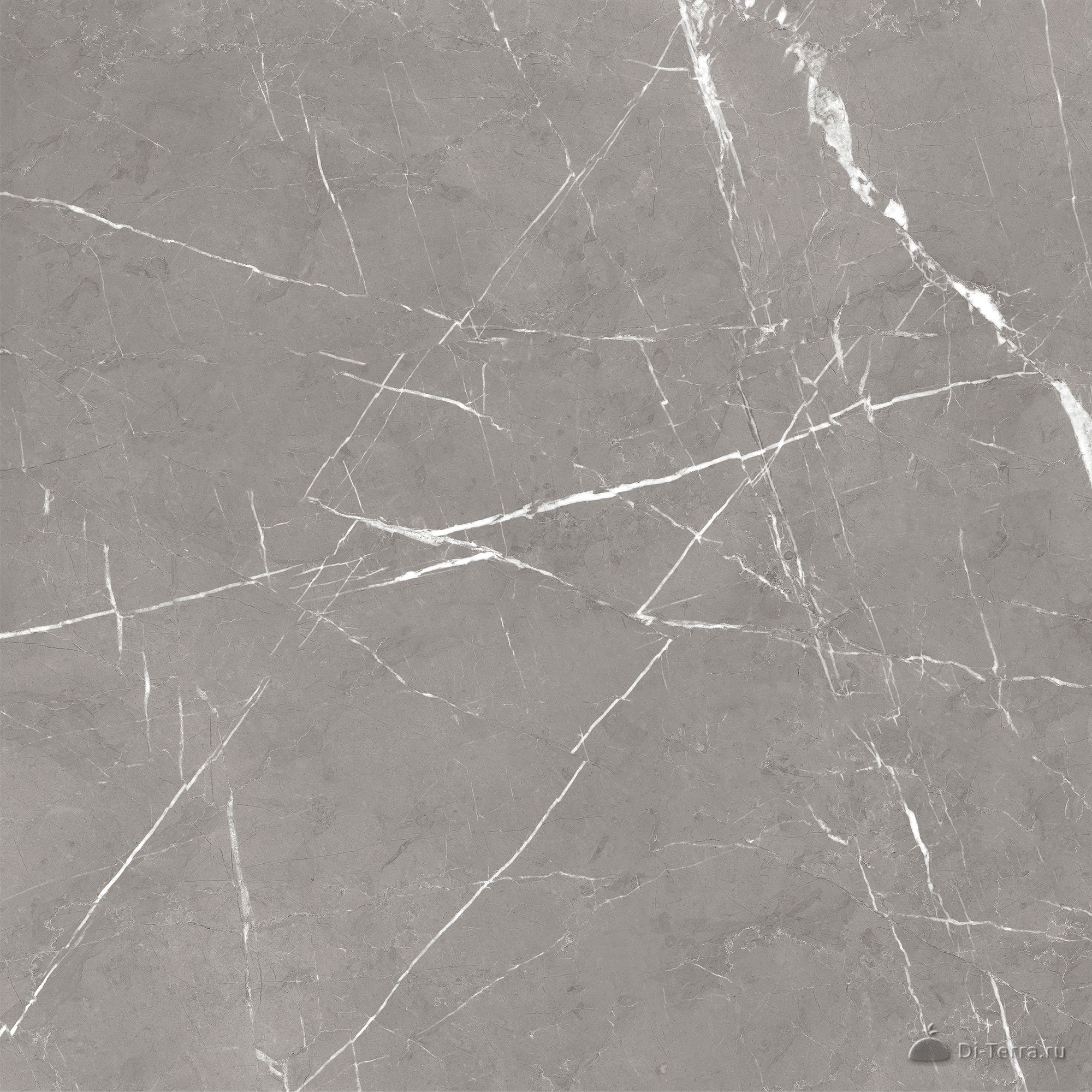 Encanto_GT Grey 60×60
