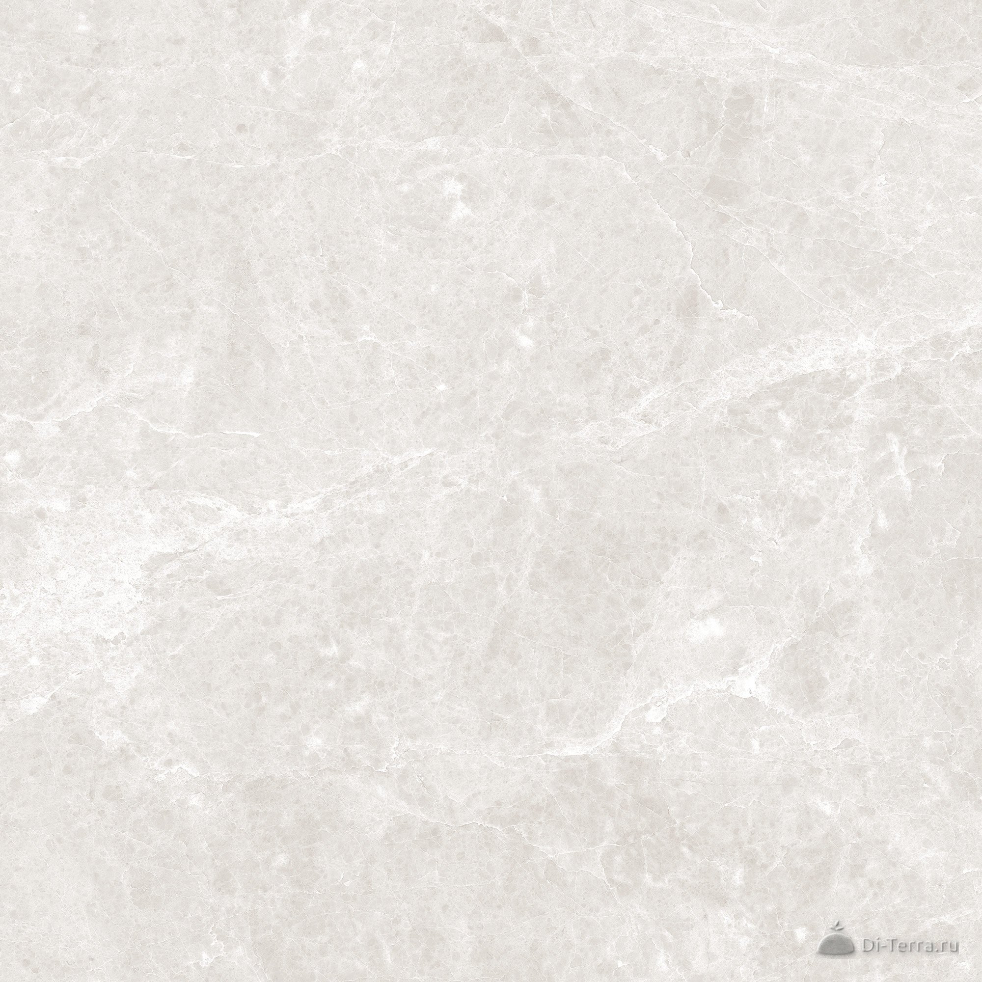 Korinthos Light-Grey 60×60 Polished