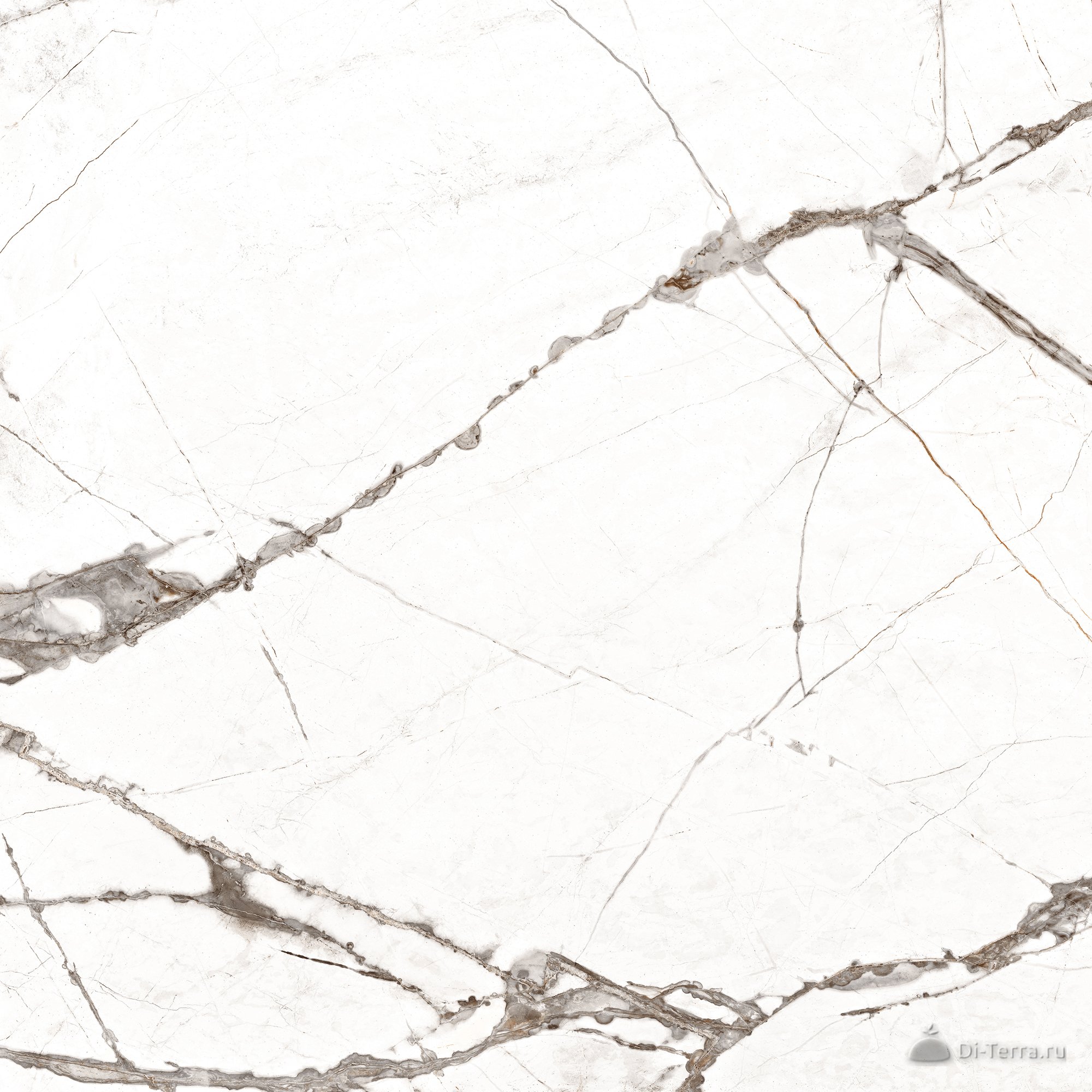 Timeline White 60×60 Polished
