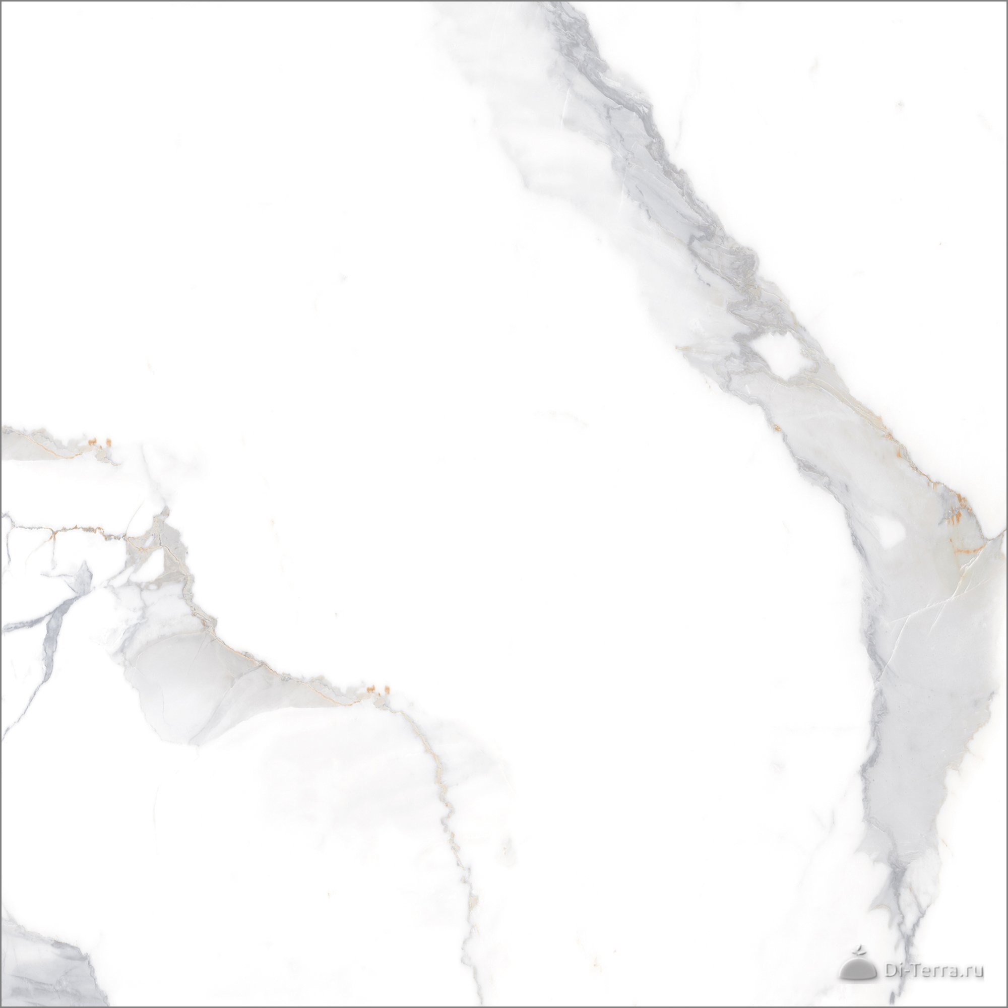 Calacatta Imperial_GT White 60×60 Polished