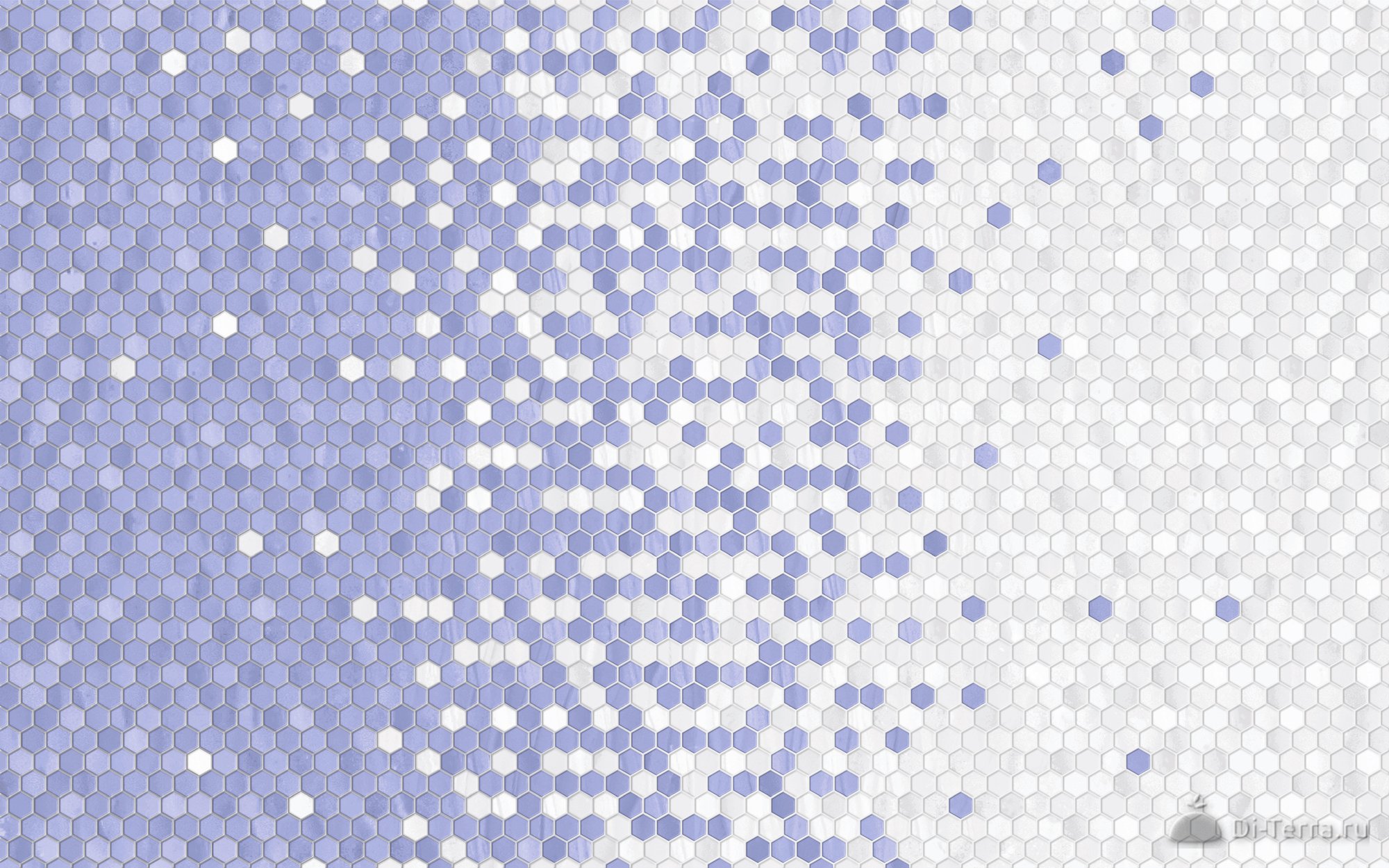Лейла Гол Низ 40×25