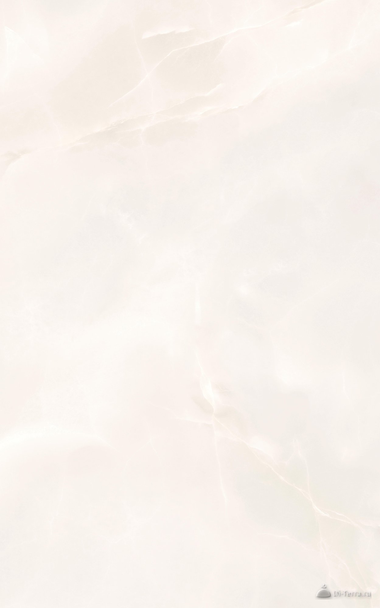 Flora Бежевый Верх 01 250×400