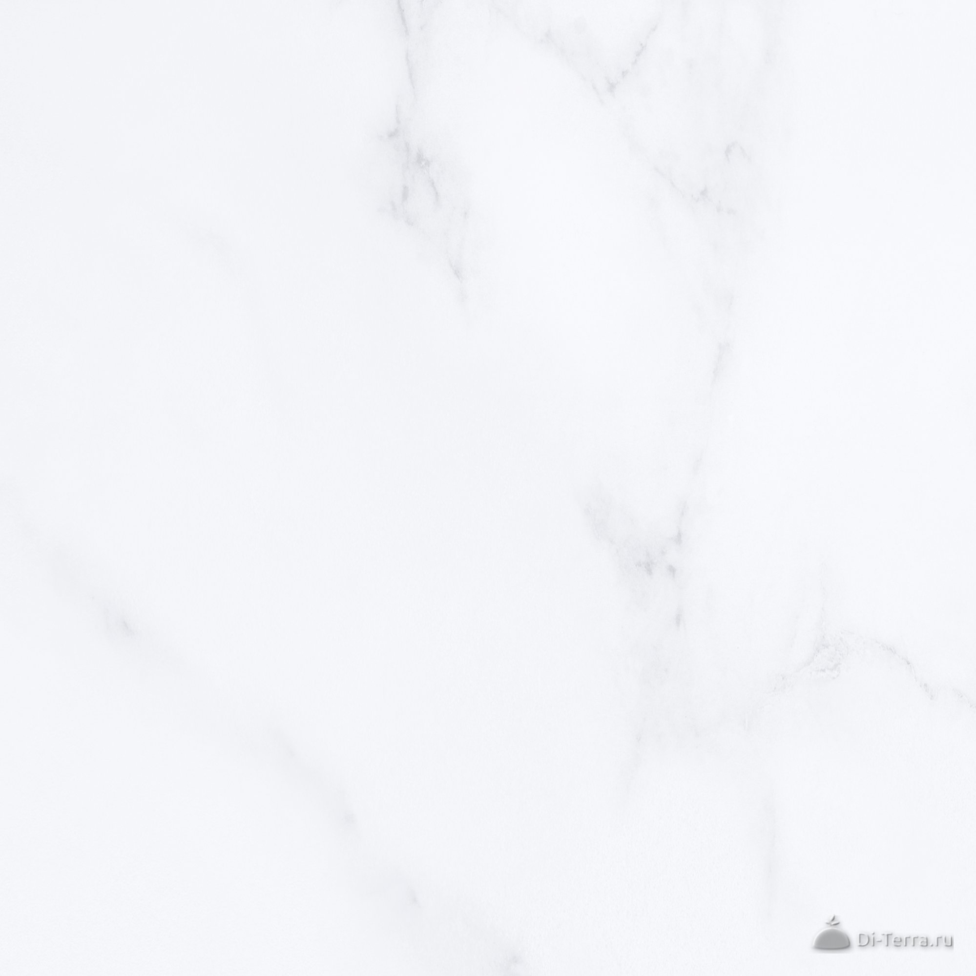 Милана Св 40×40