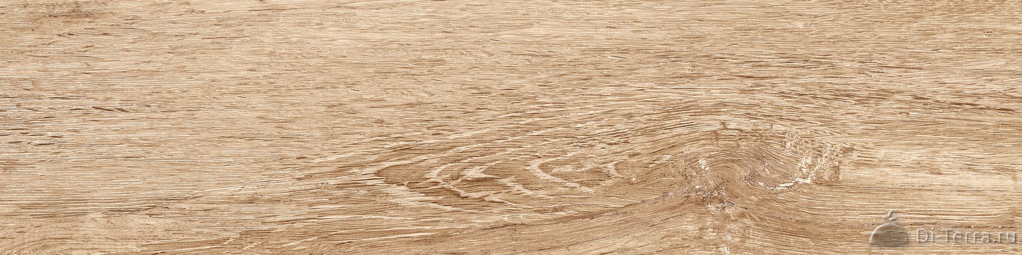 Orsa Beige PG 01 50×12.5