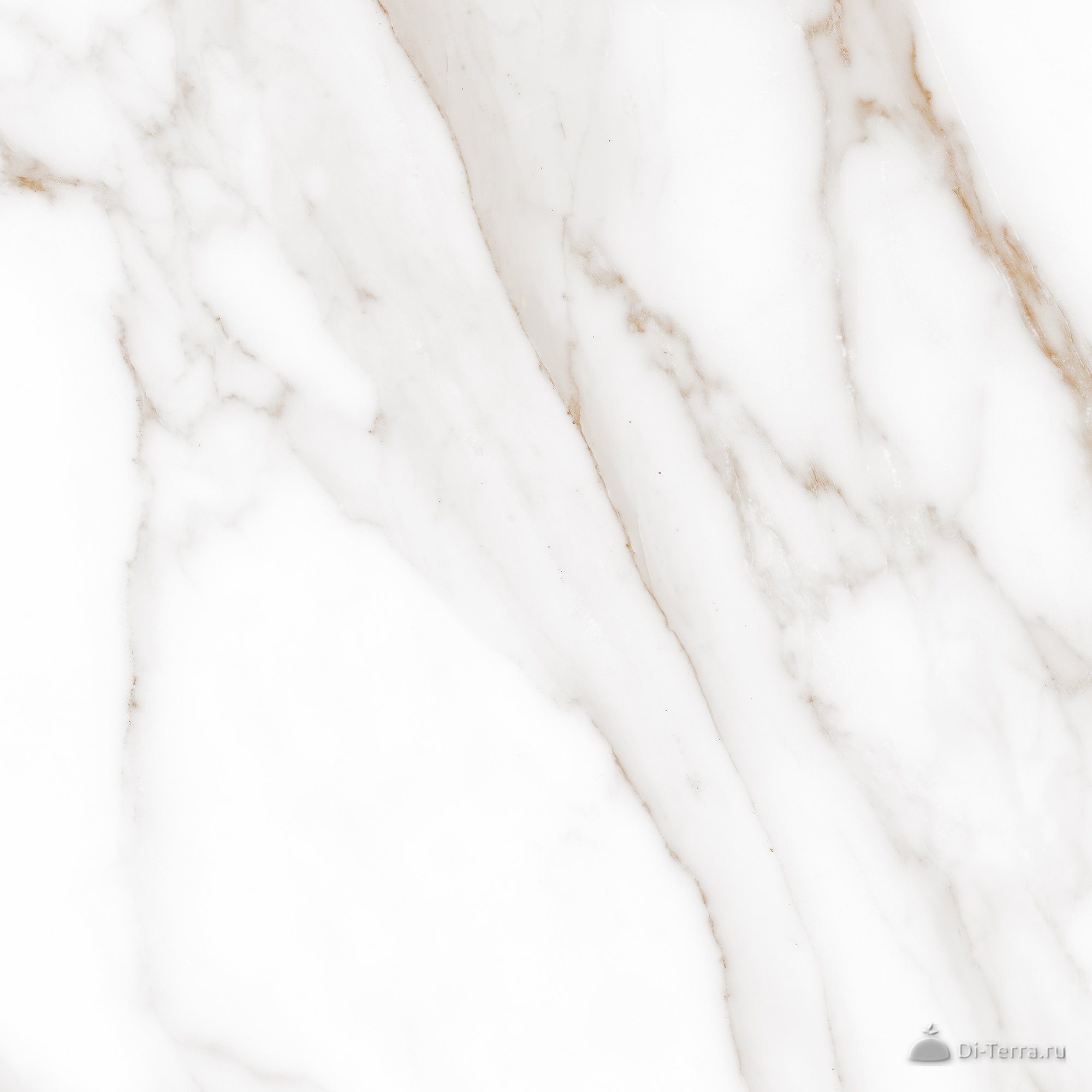 Extra White PG 01 60×60