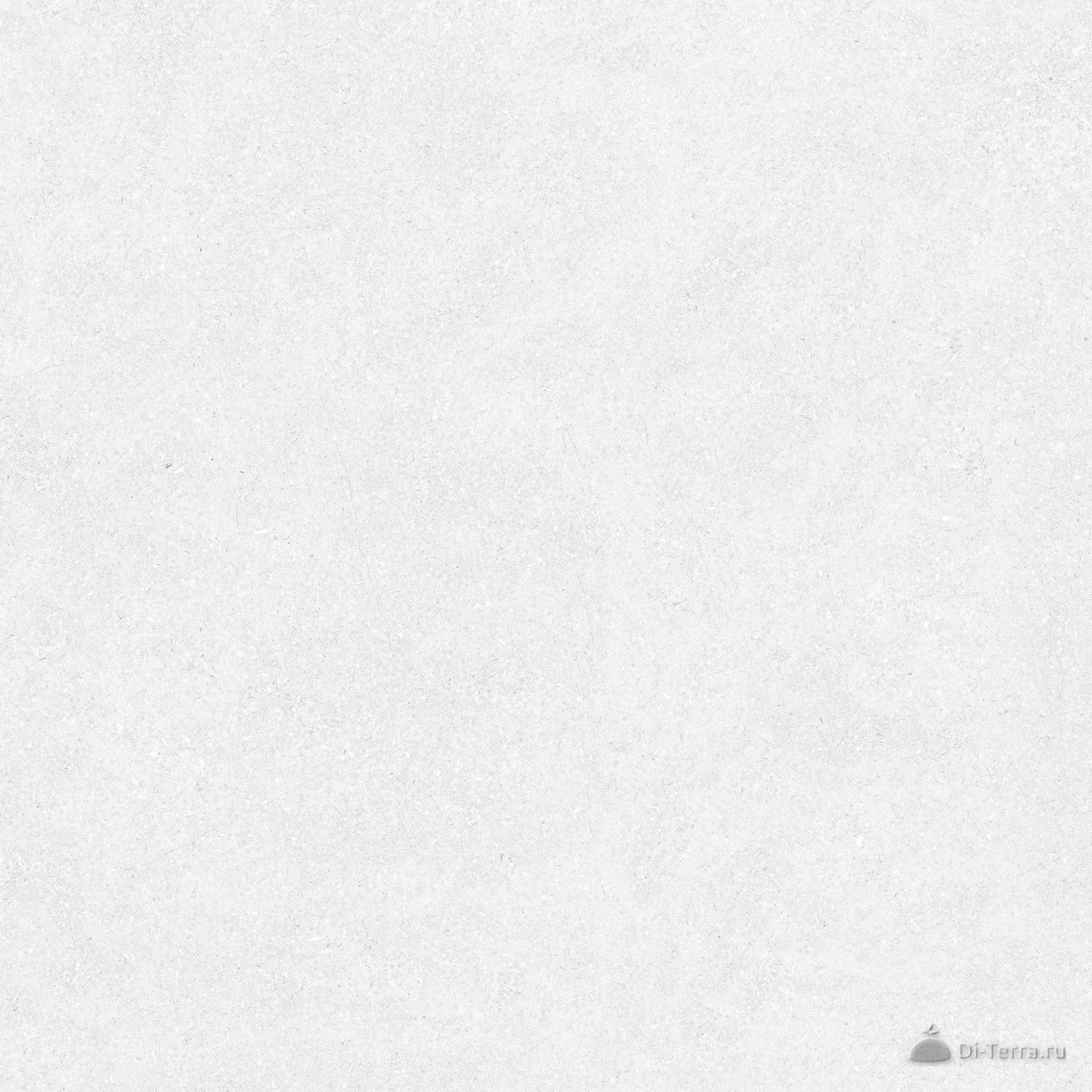 Monolit Серый 60×60