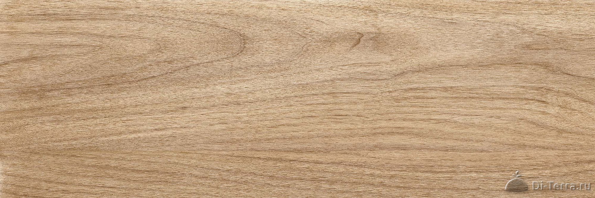 Siberia Beige 20×60 Matt