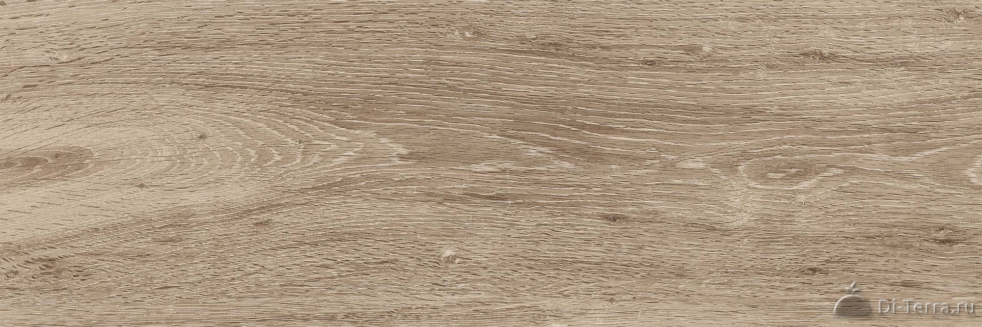 Baikal Beige 20×60 Matt
