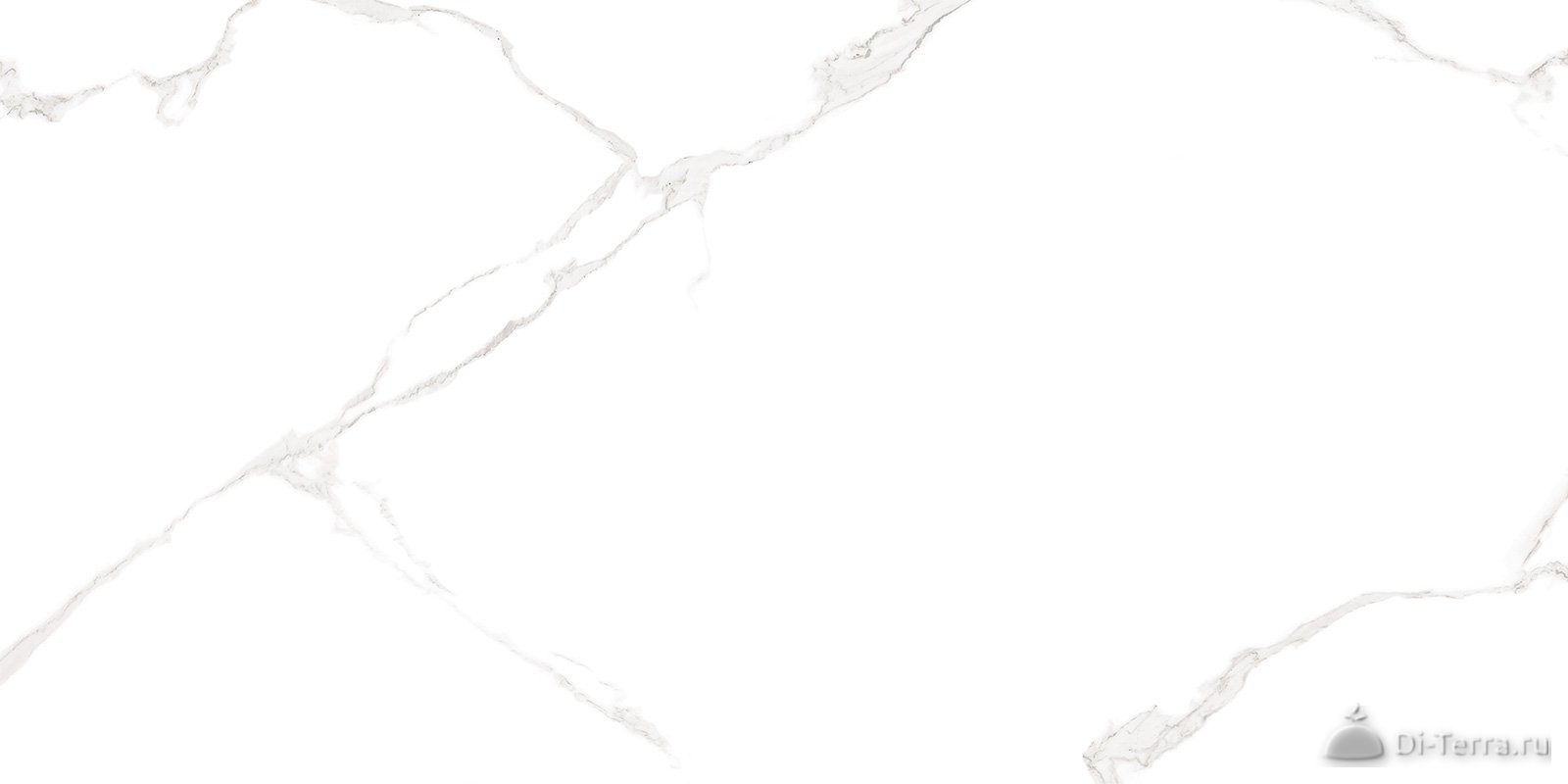 Elemento Bianco Carrara WT9ELT00 50×25