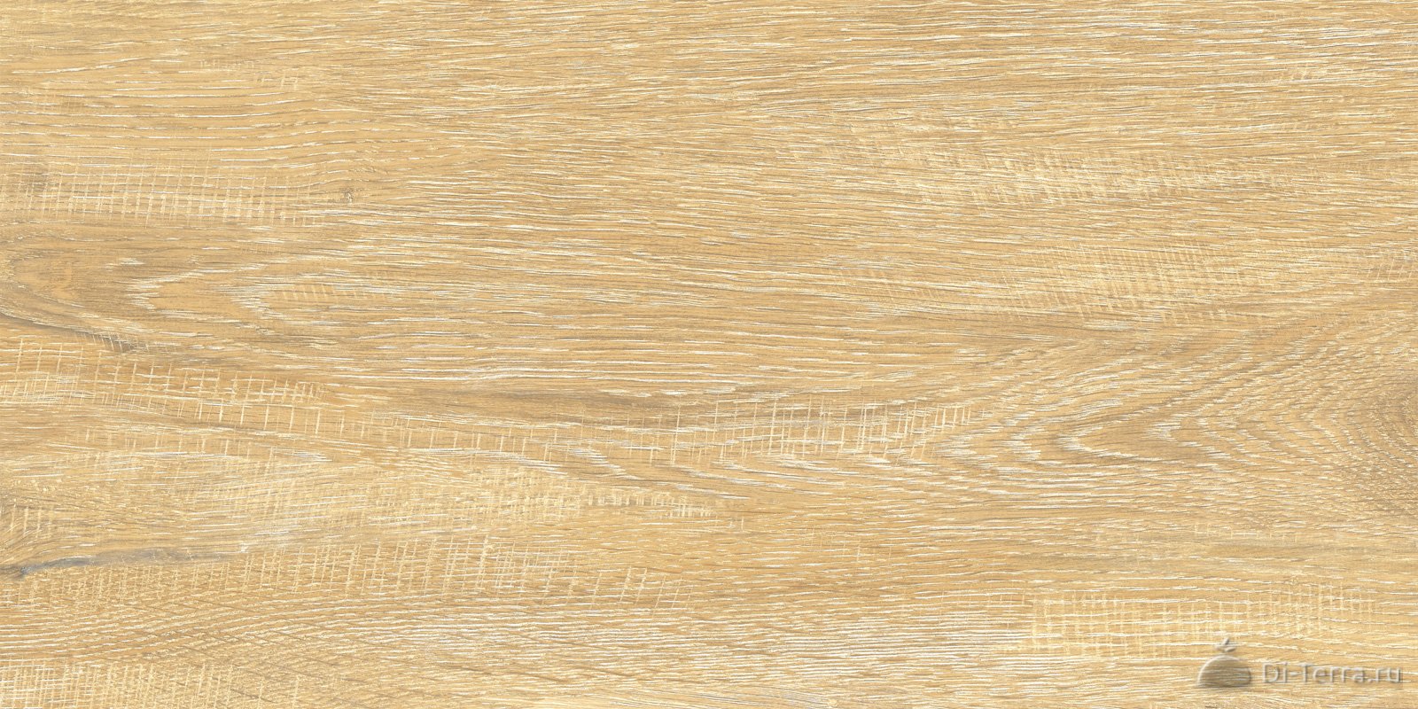 Elemento Cedar 50×25