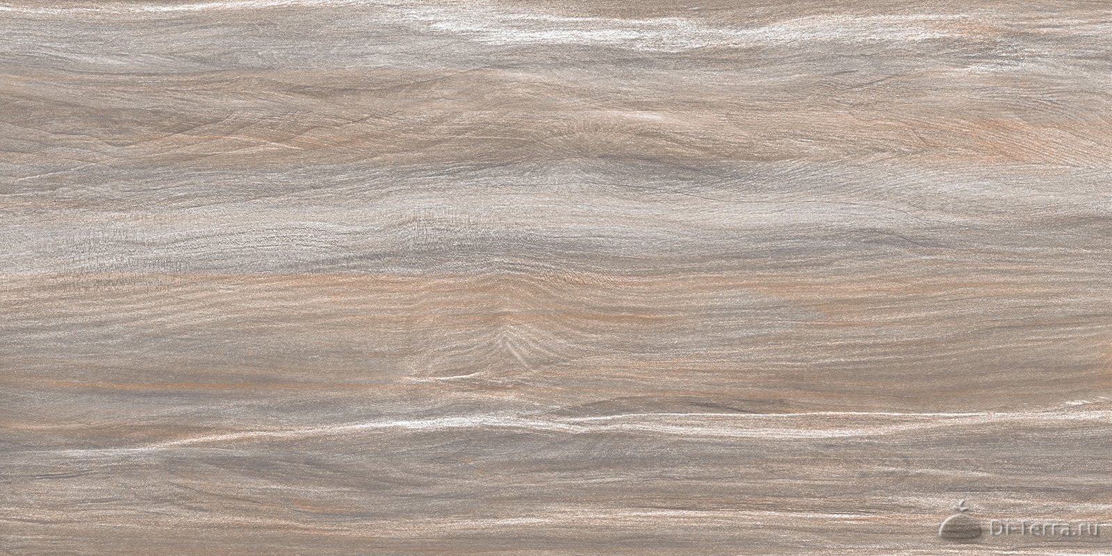 Esprit Wood 50×25