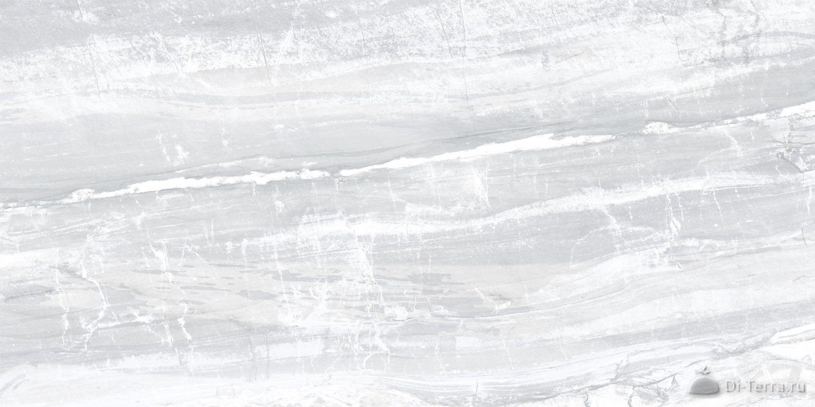 Interni Dark Grey 50×25