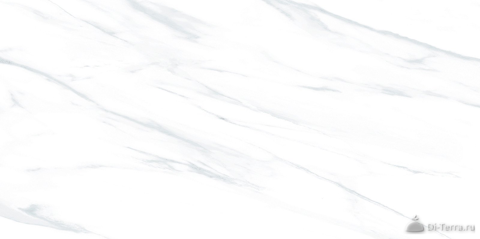Julia Light 50×24.9