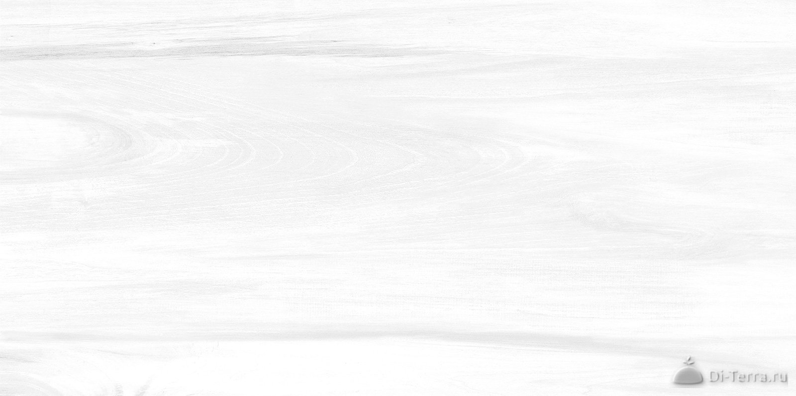 Portland Light 50×24.9