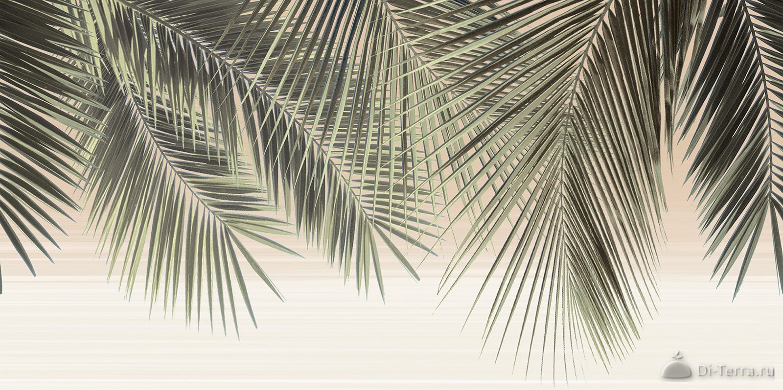 Del Mare 249*500 (12 Шт. В Коробке)