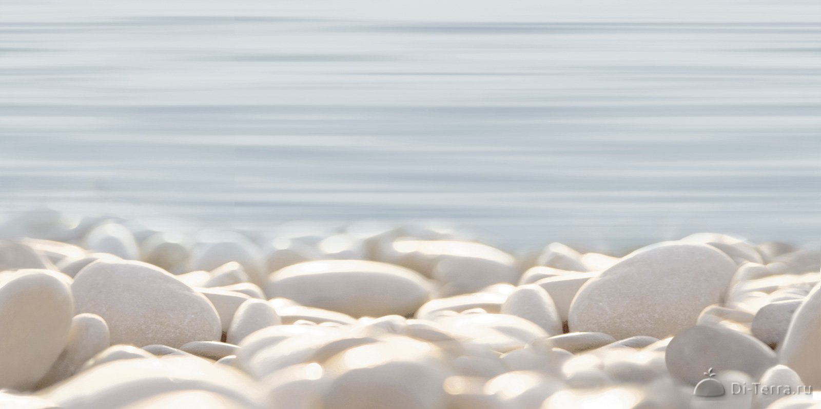 Del Mare 249*500 (12 Шт. В Коробке)