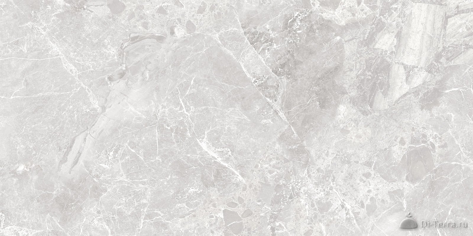 Greiny Gris 600×1200 Matt