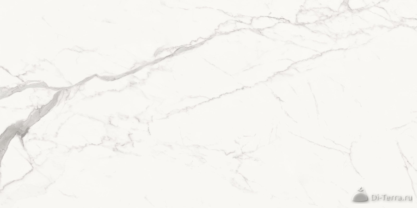 Porfido Carrara 60×120 Matt