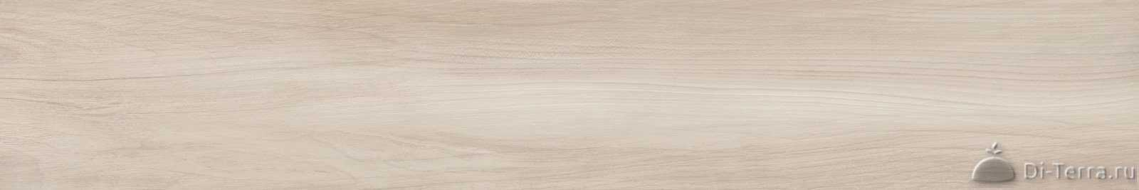 Apricot Crema 200×120 Matt