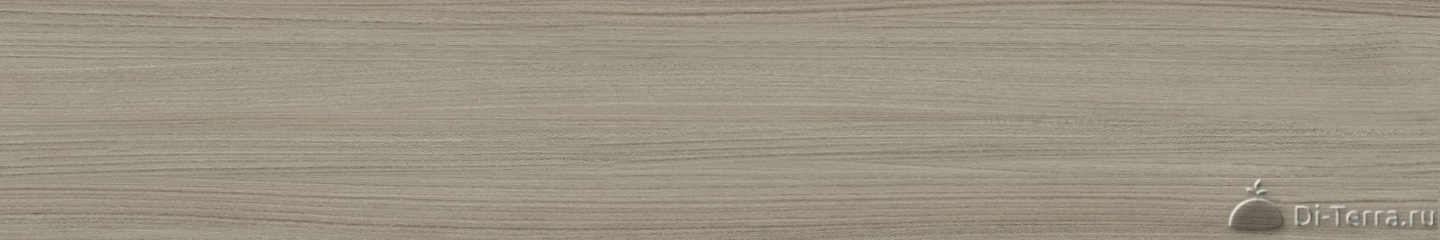 Citywood Gray 200×120 Matt